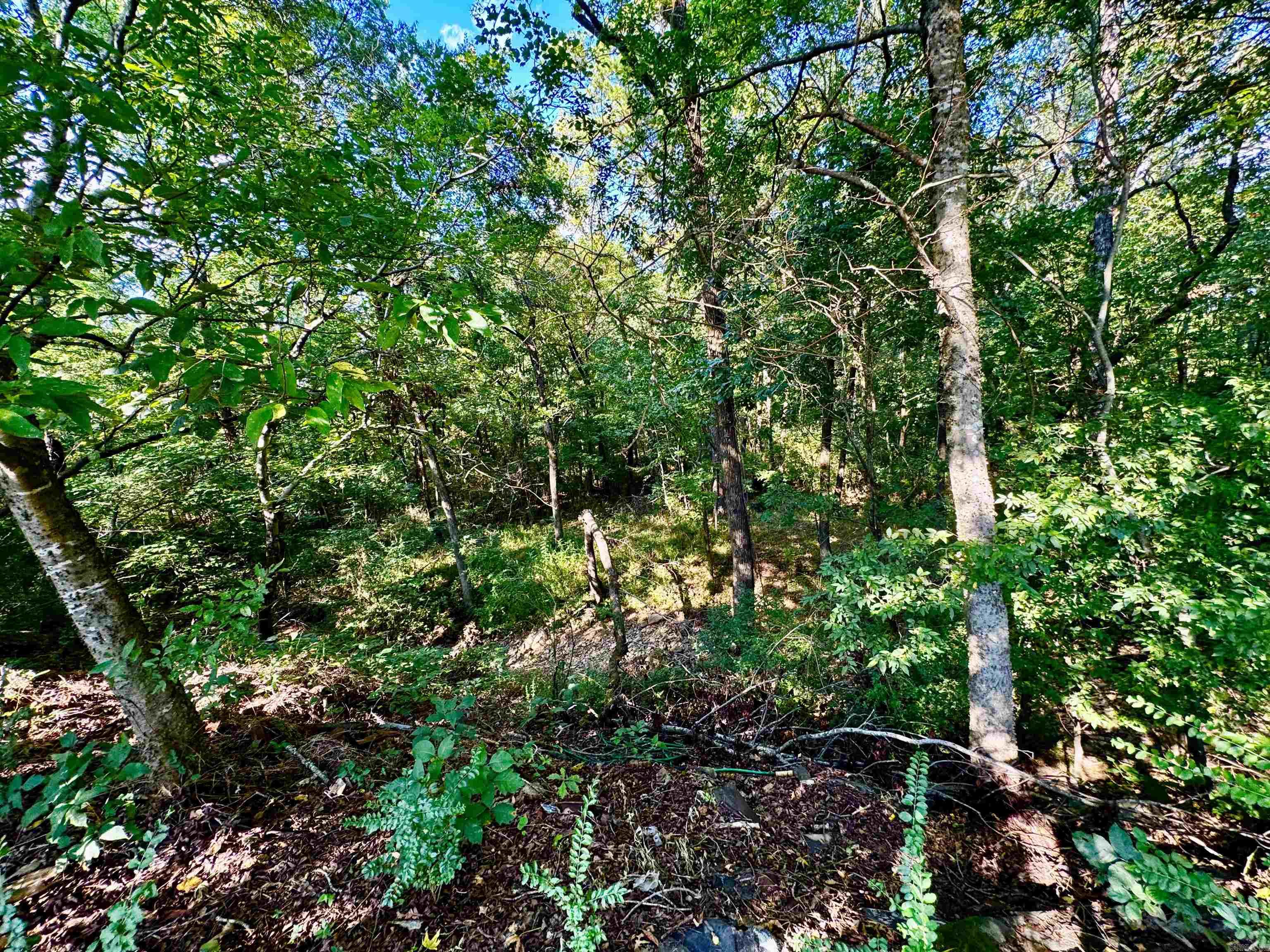 489 County Road 4491  Clarksville, AR