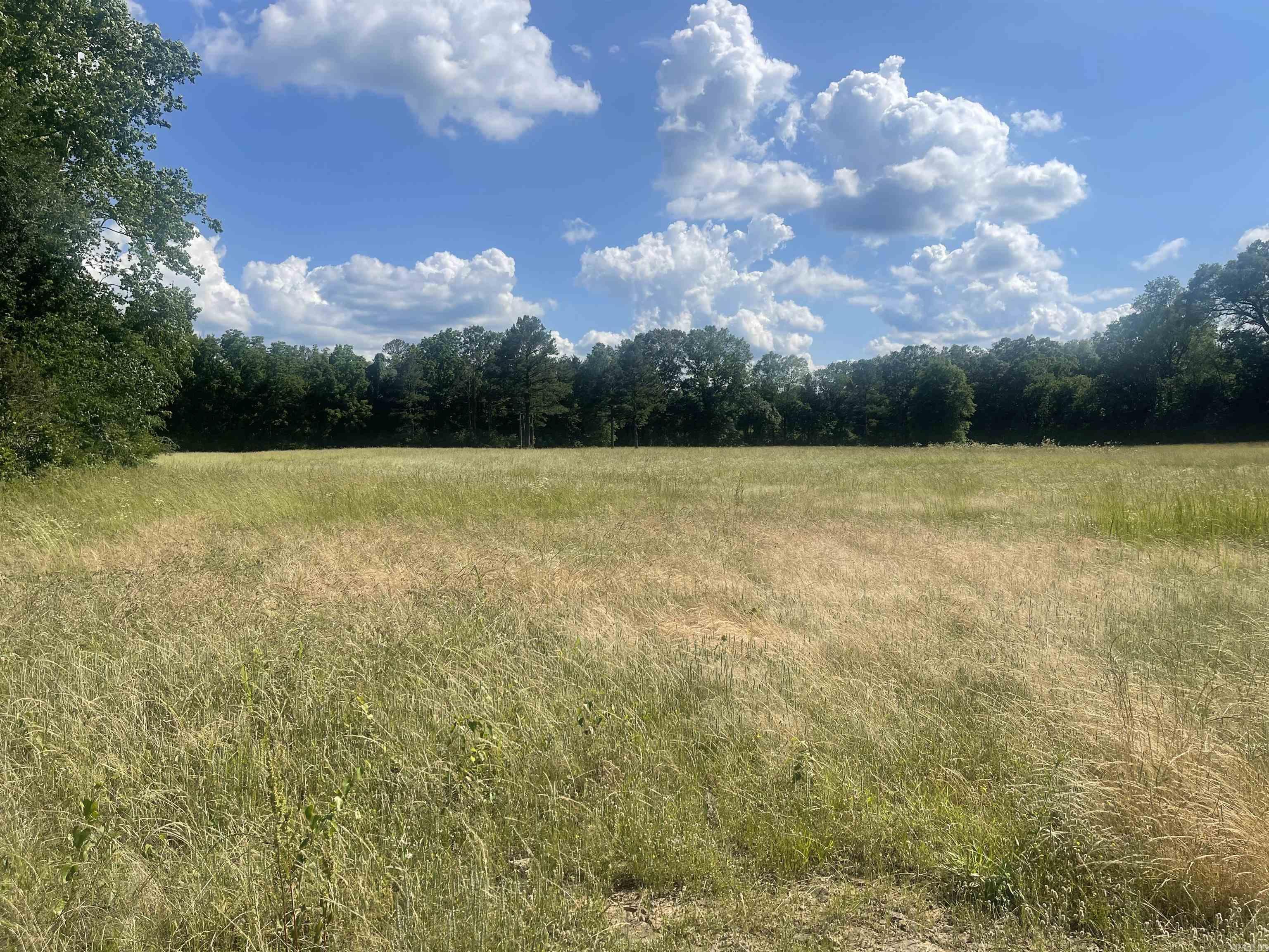 15350 Bailey Branch  Danville, AR