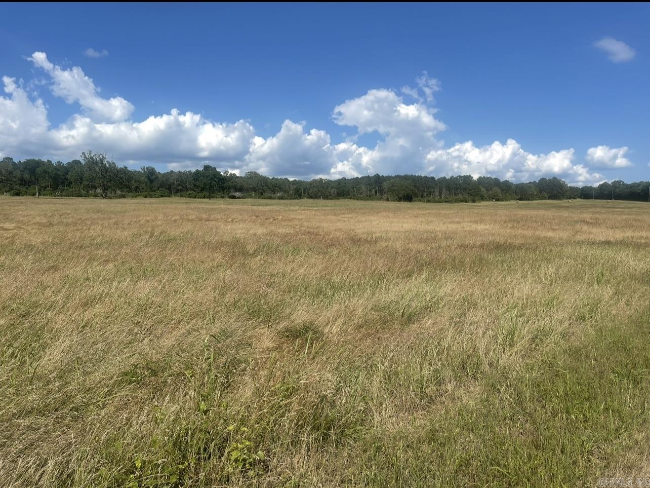 00 Bailey Branch Rd  Danville, AR