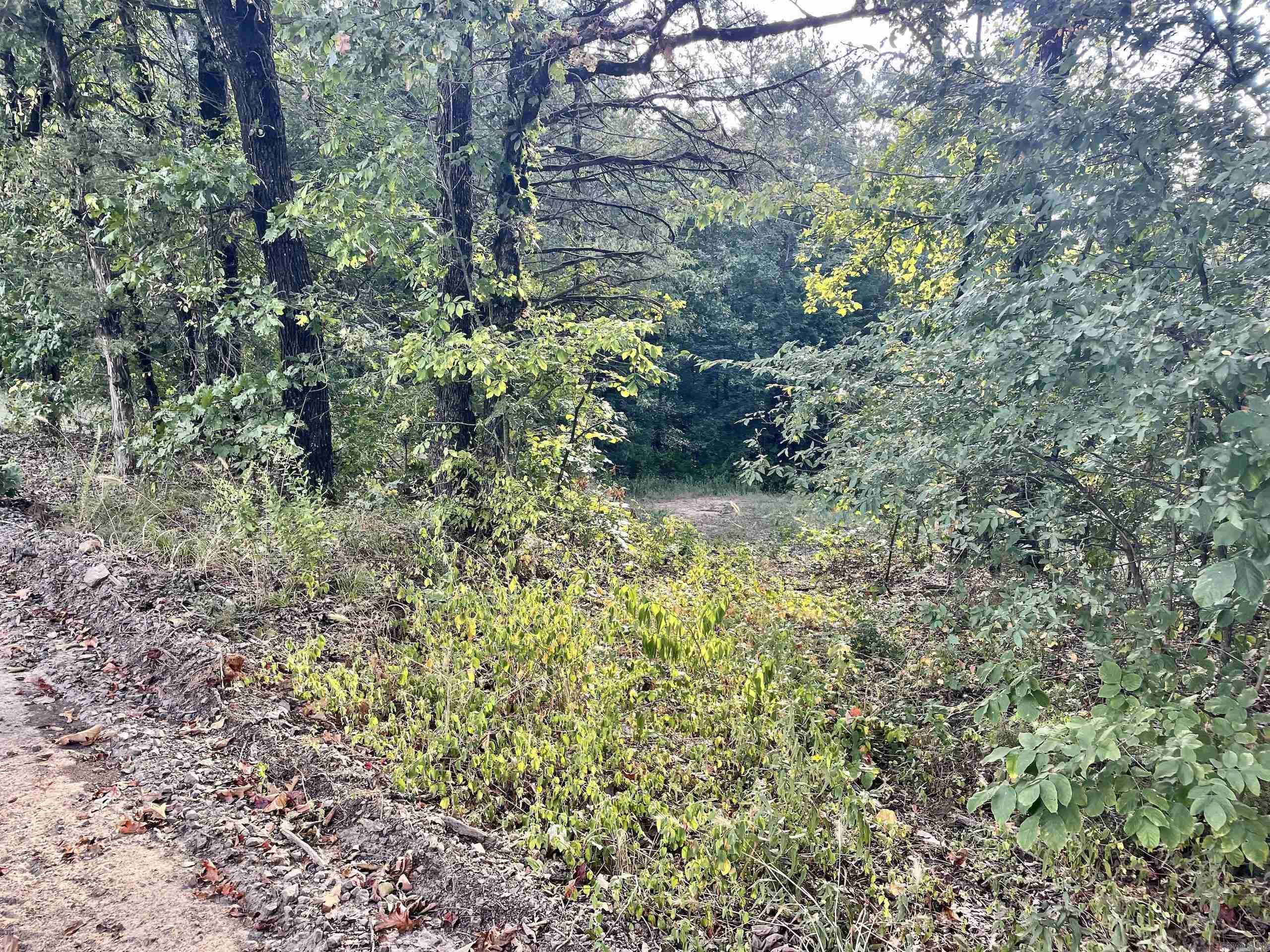 000 Cedar Creek Dr  Jerusalem, AR