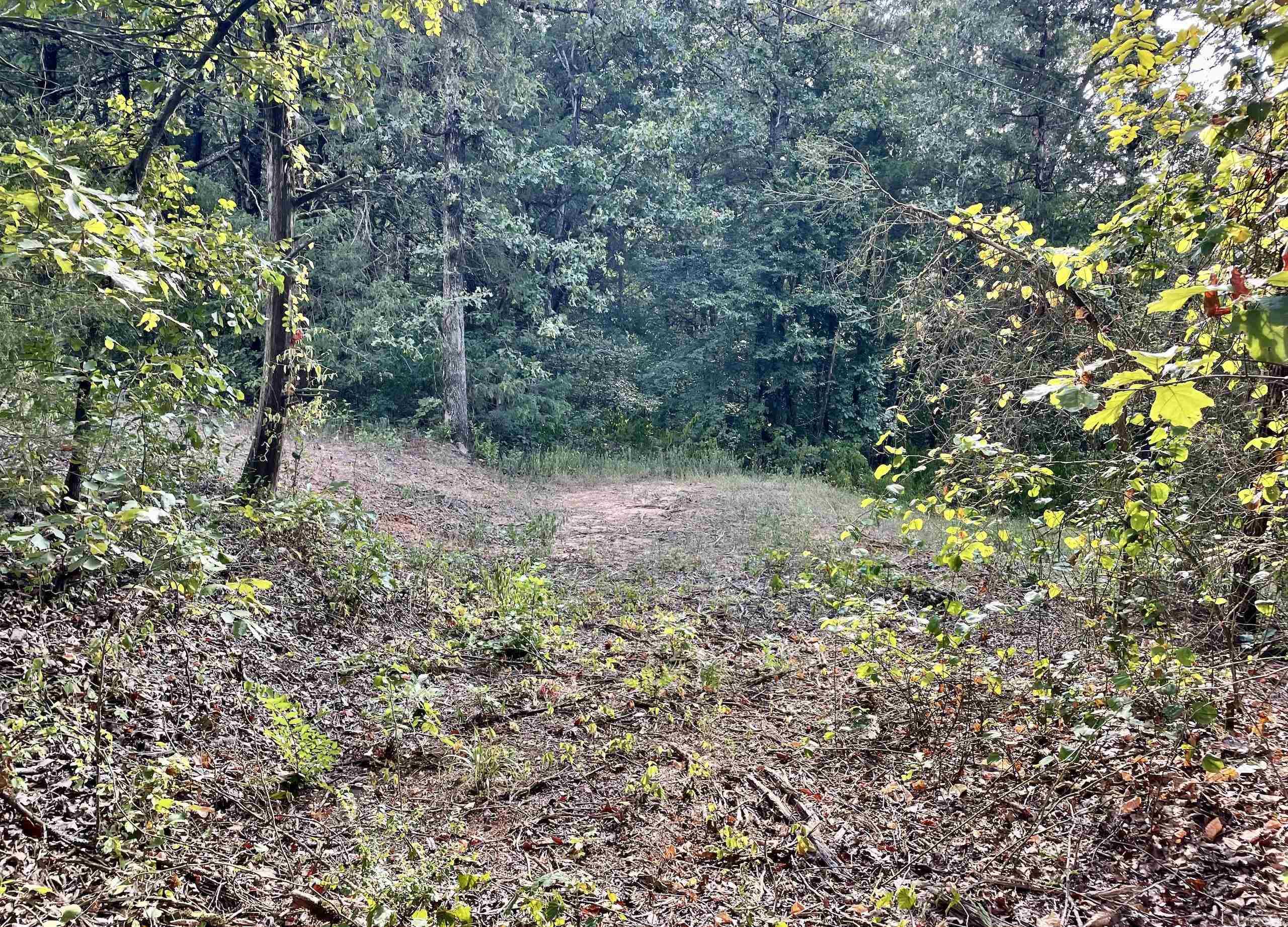 000 Cedar Creek Dr  Jerusalem, AR