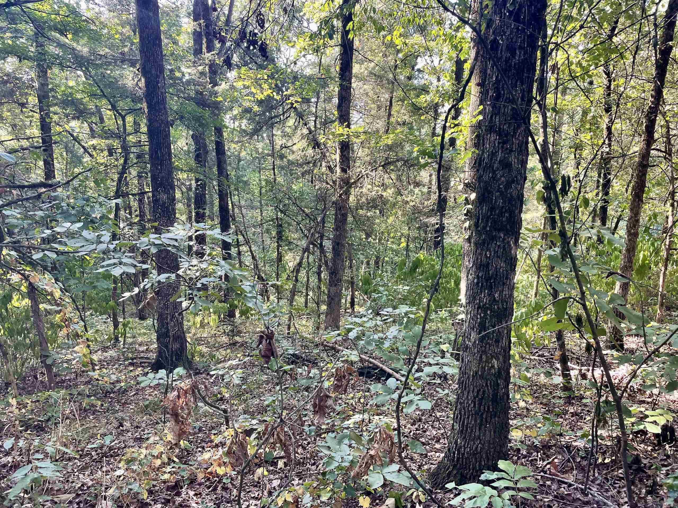 000 Cedar Creek Dr  Jerusalem, AR