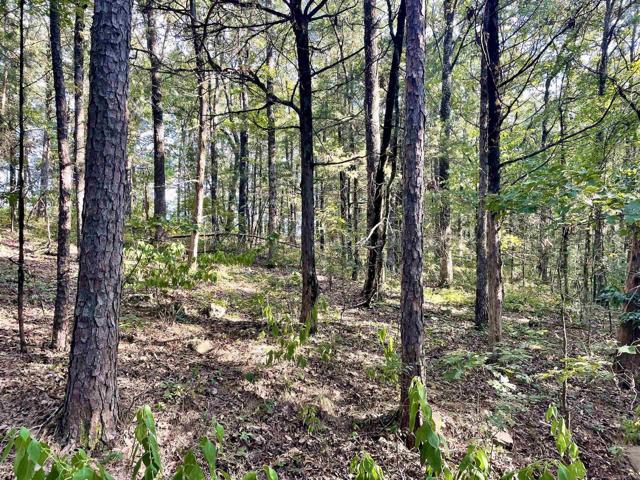 000 Cedar Creek Dr  Jerusalem, AR