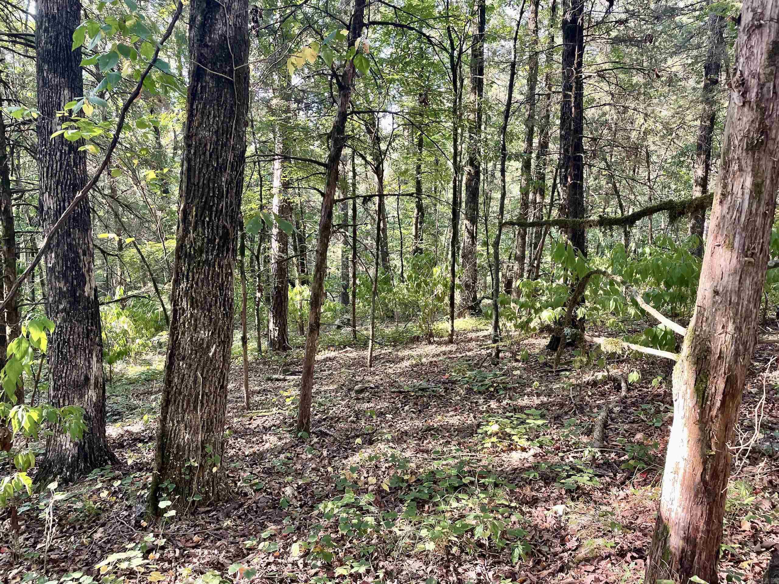 000 Cedar Creek Dr  Jerusalem, AR