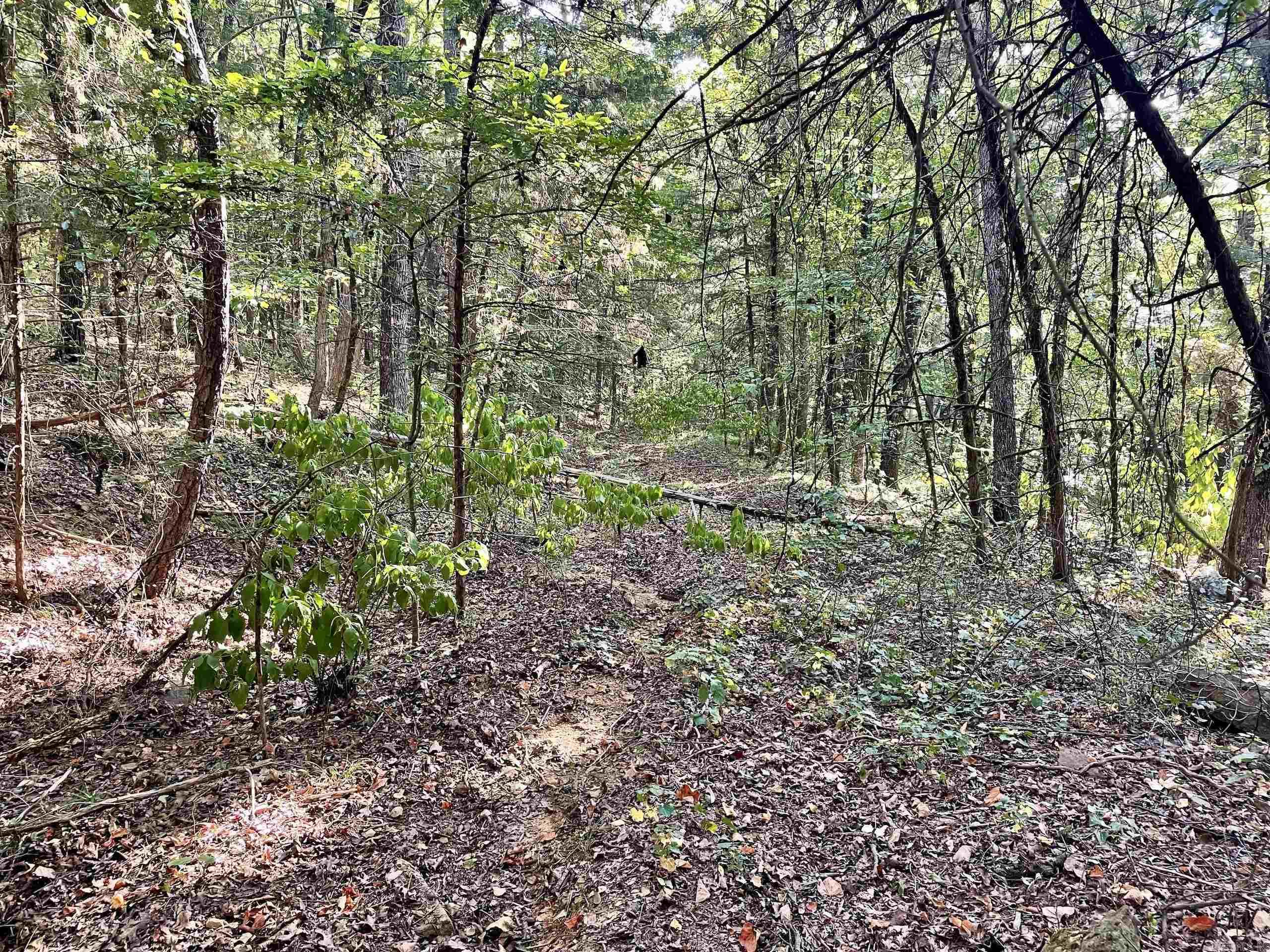 000 Cedar Creek Dr  Jerusalem, AR
