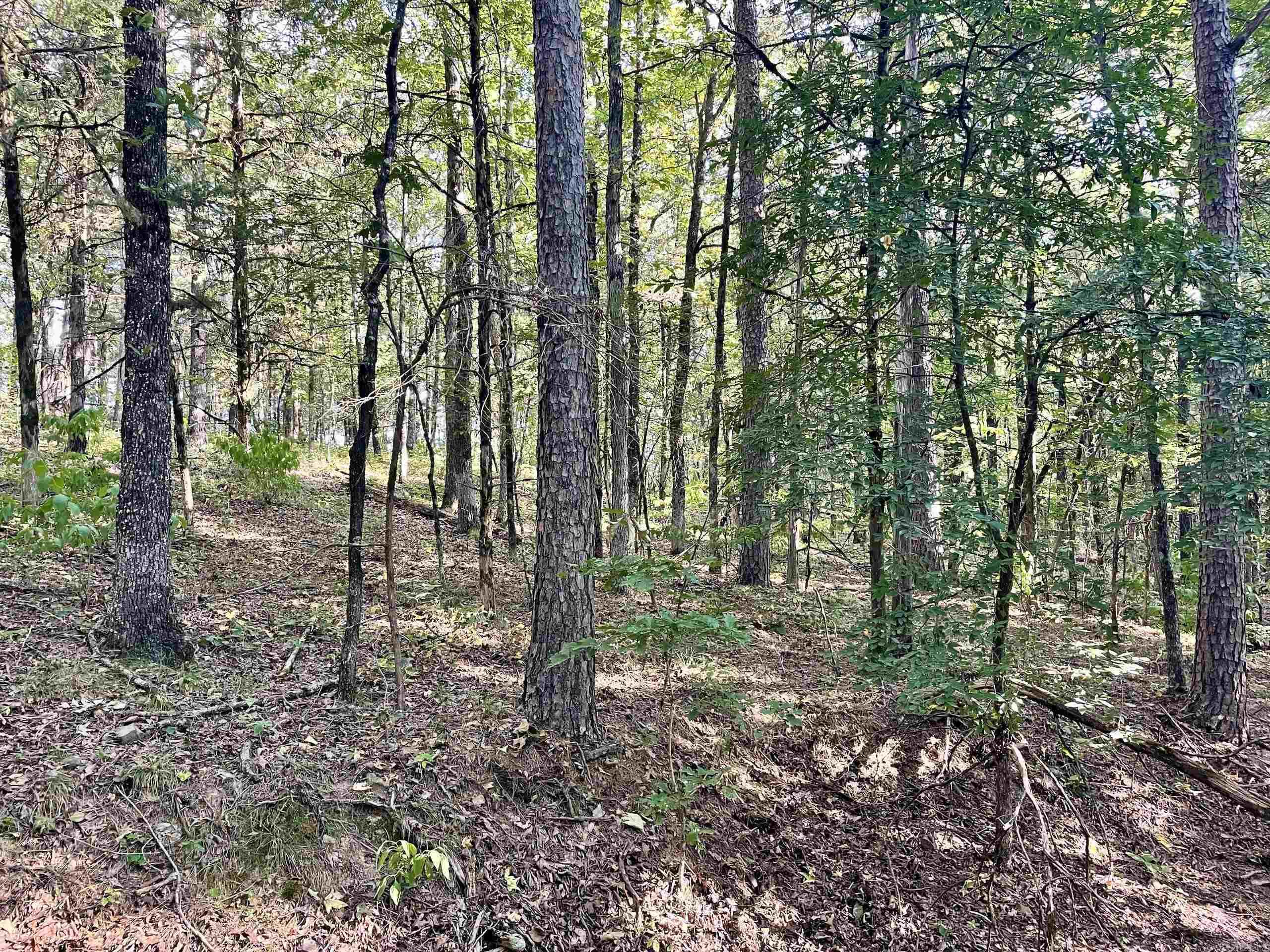 000 Cedar Creek Dr  Jerusalem, AR