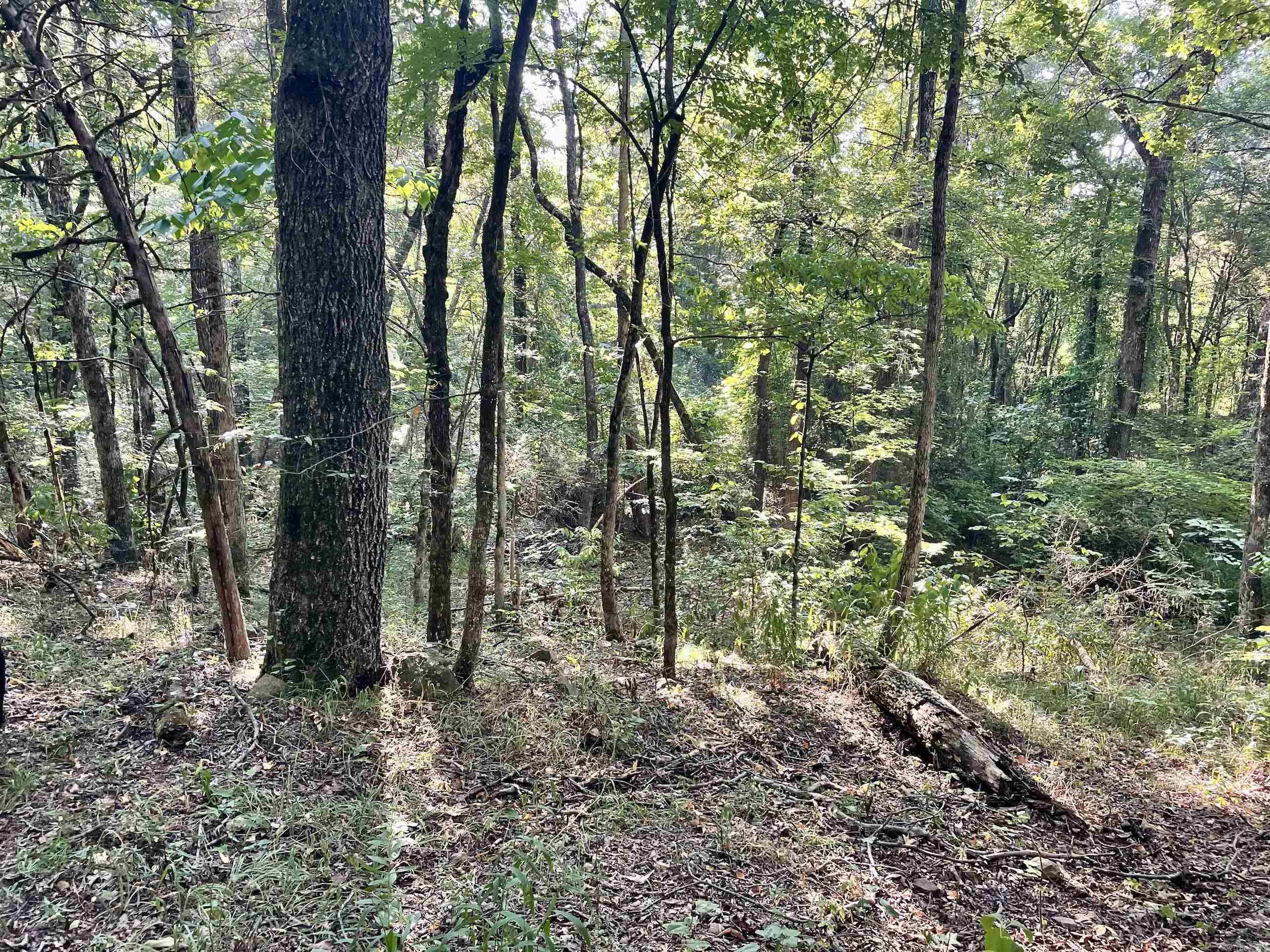 000 Cedar Creek Dr  Jerusalem, AR