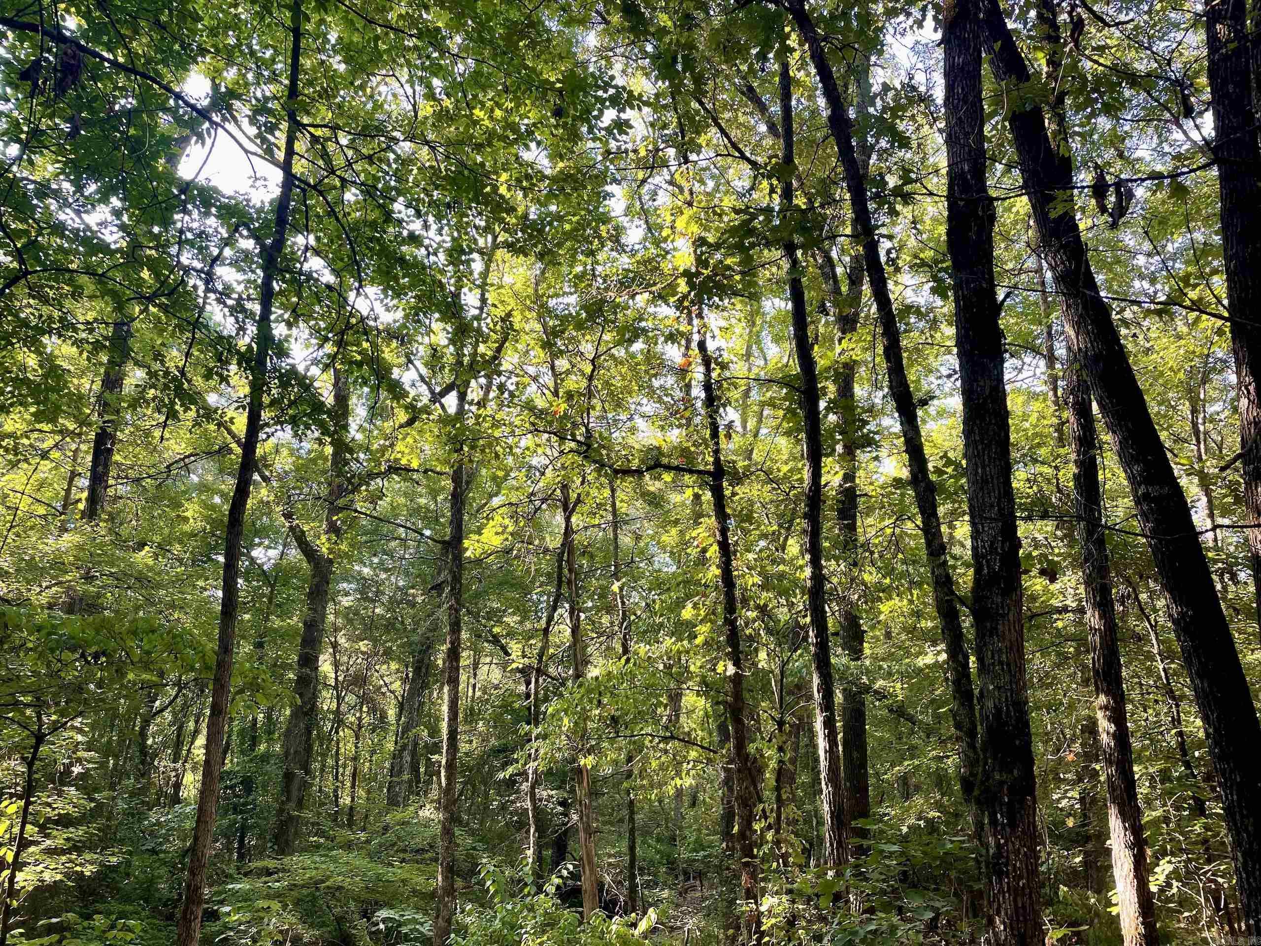 000 Cedar Creek Dr  Jerusalem, AR