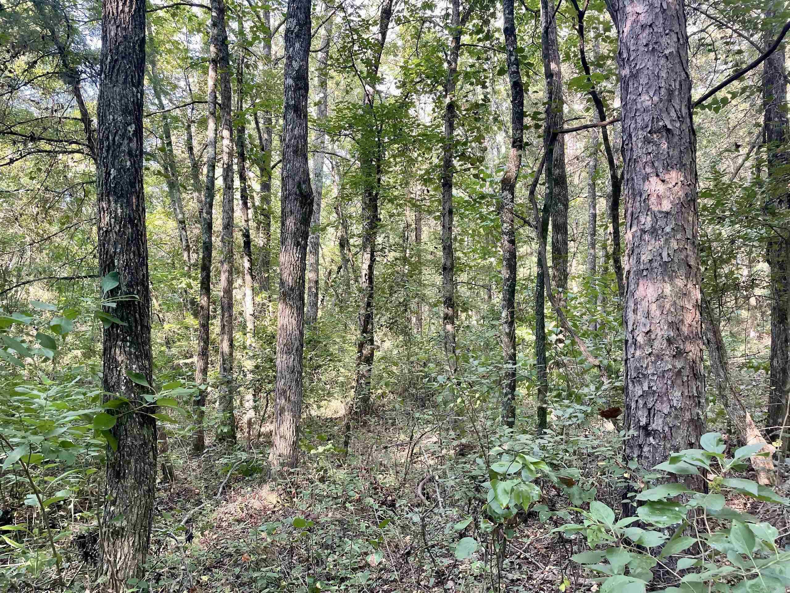 000 Cedar Creek Dr  Jerusalem, AR