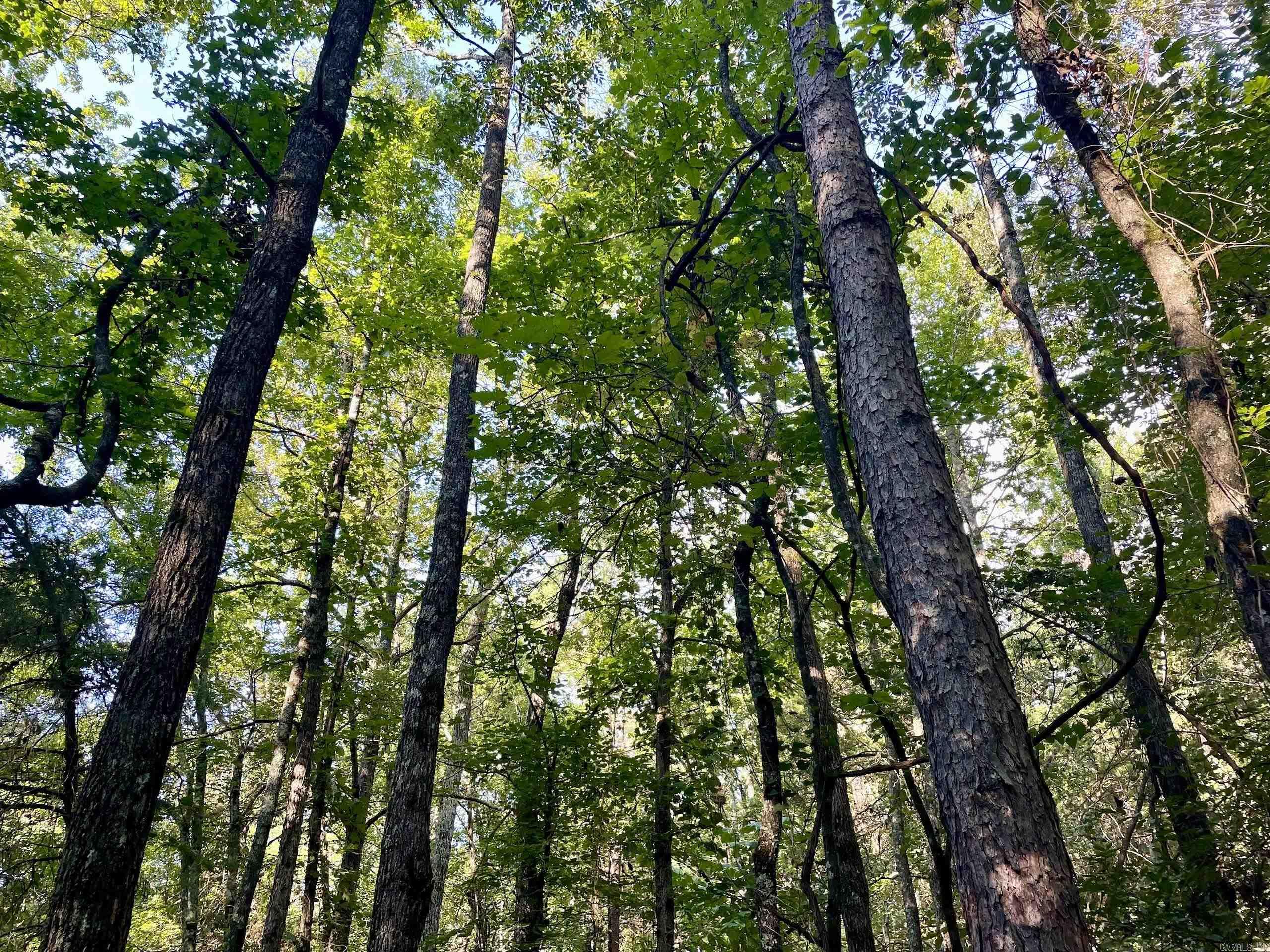 000 Cedar Creek Dr  Jerusalem, AR