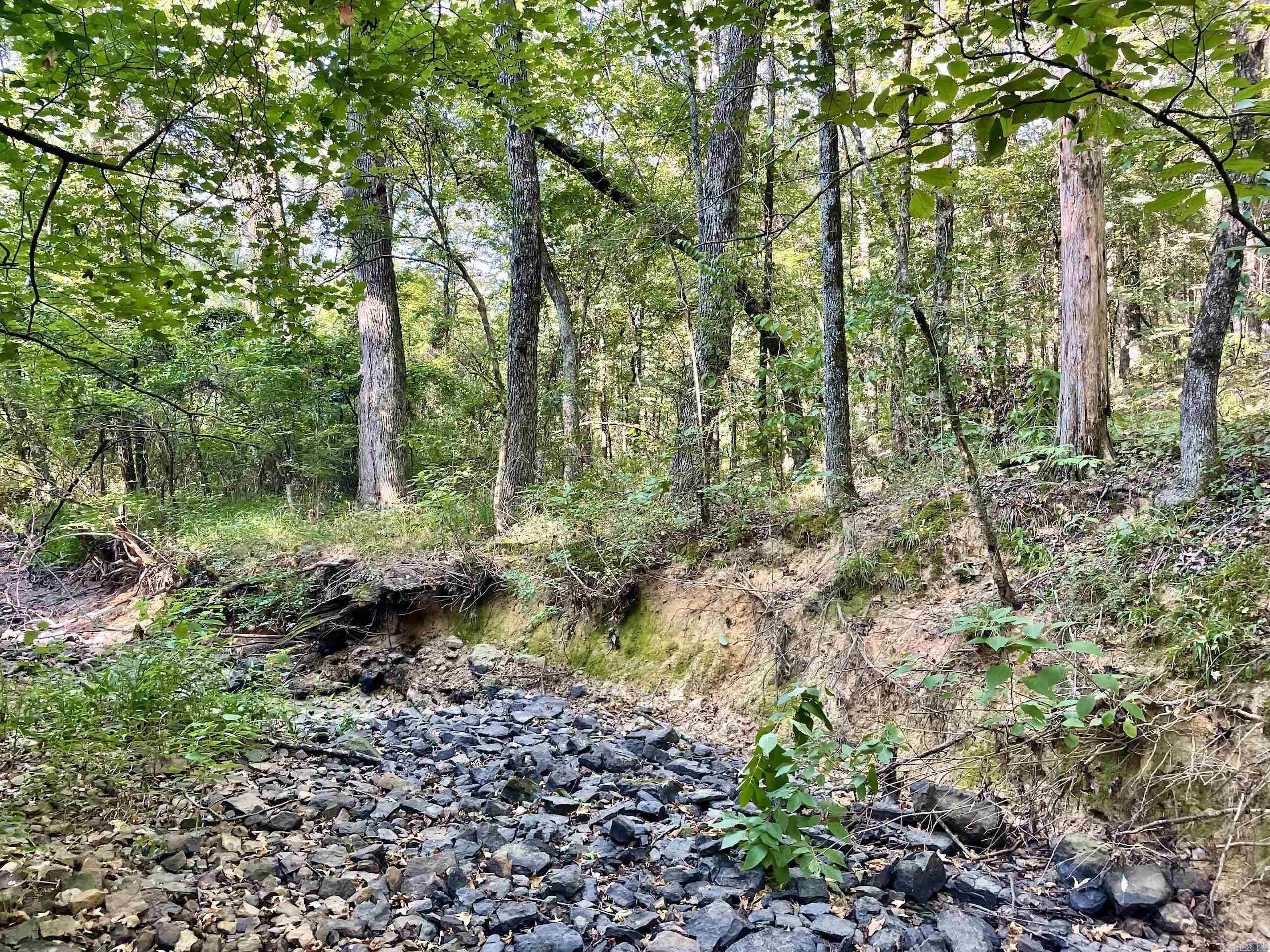 000 Cedar Creek Dr  Jerusalem, AR