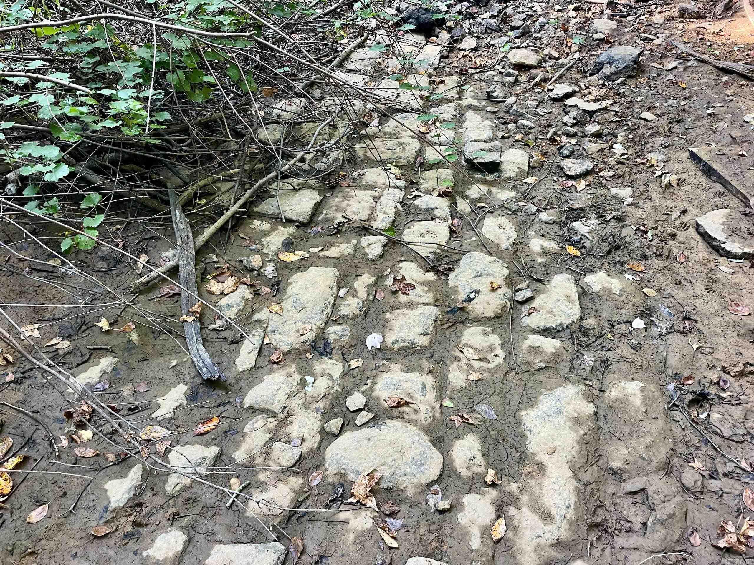 000 Cedar Creek Dr  Jerusalem, AR