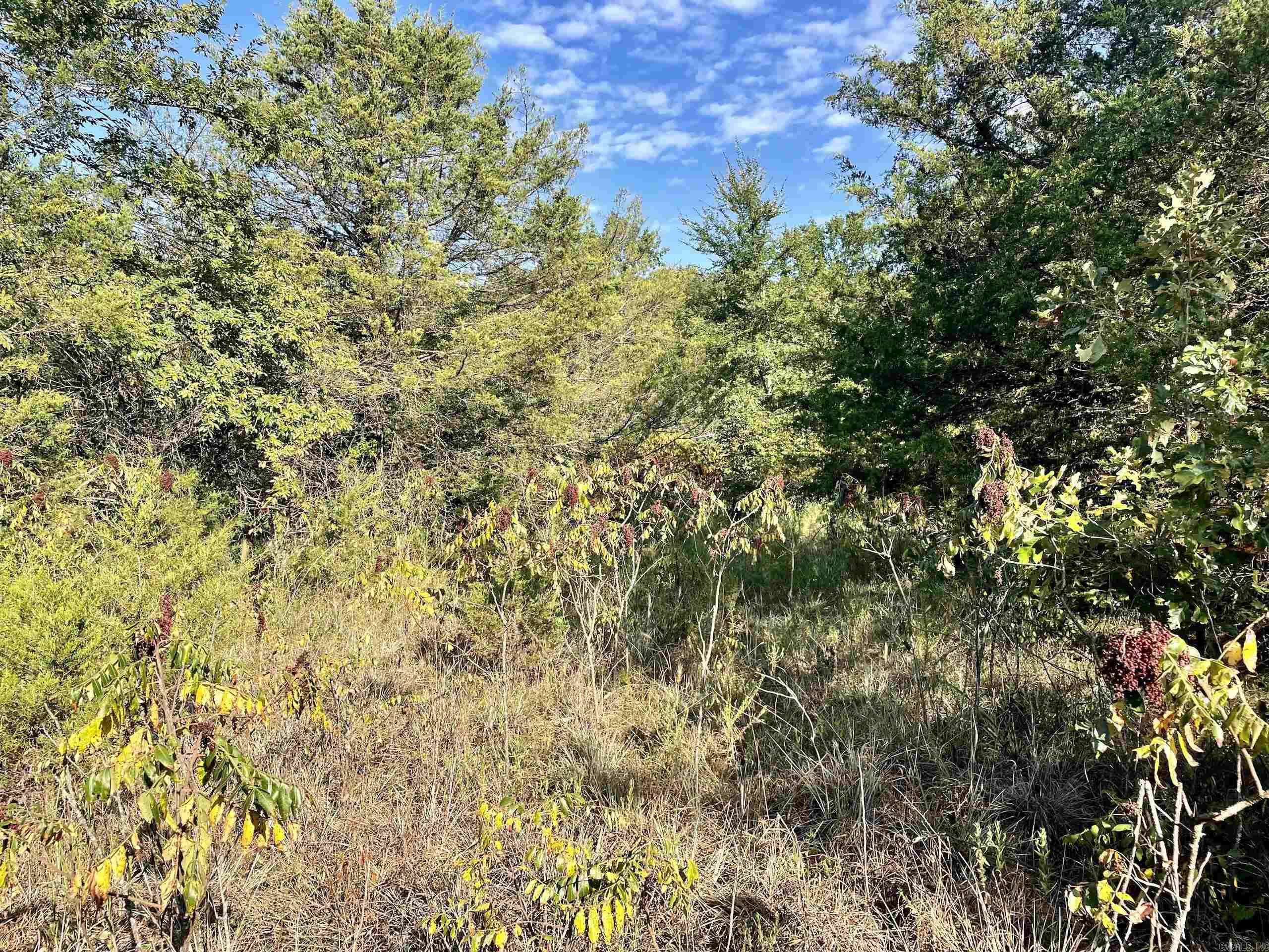 000 Cedar Creek Dr  Jerusalem, AR