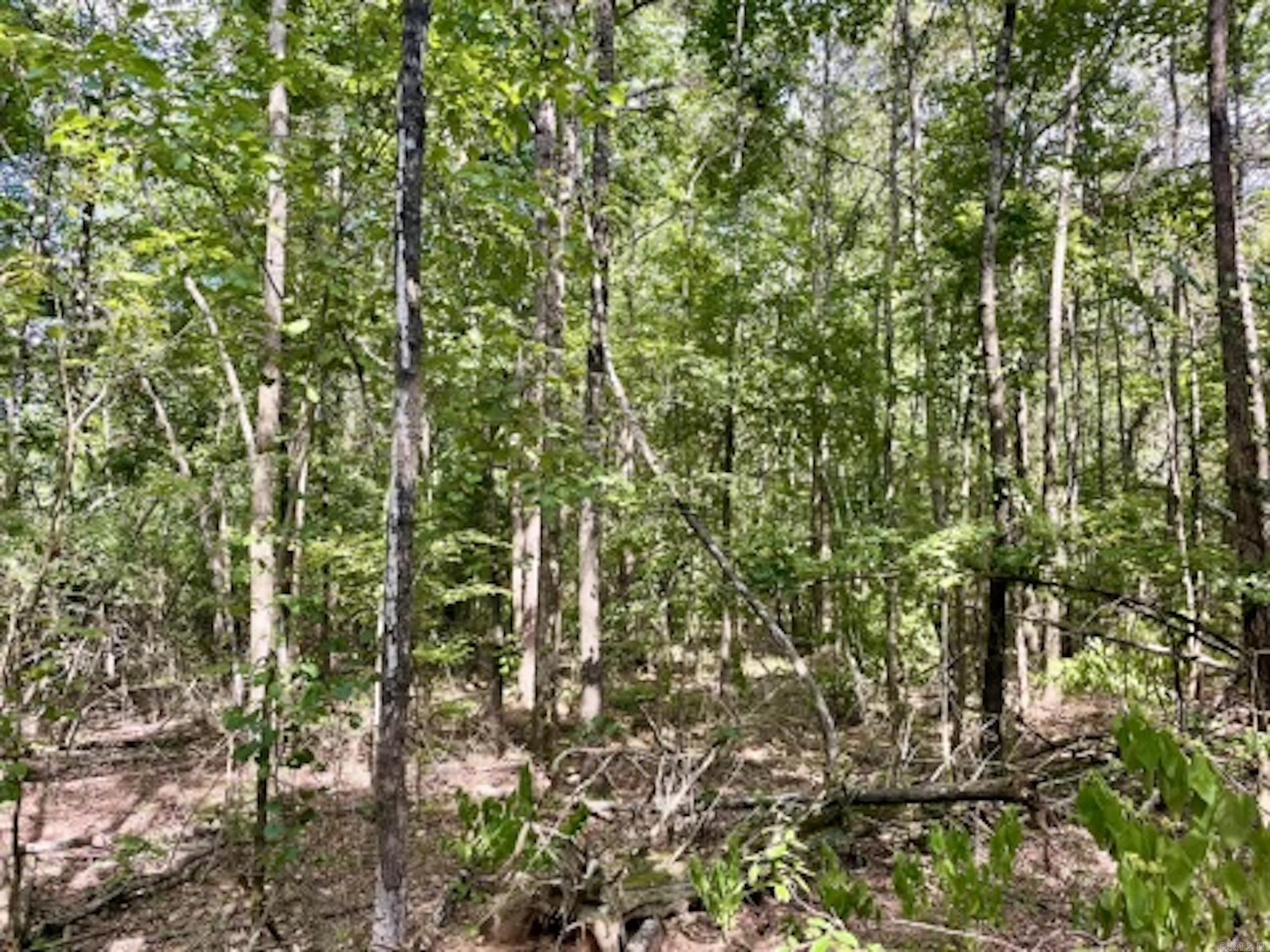 000 Barren's Loop Road,  Clinton, AR