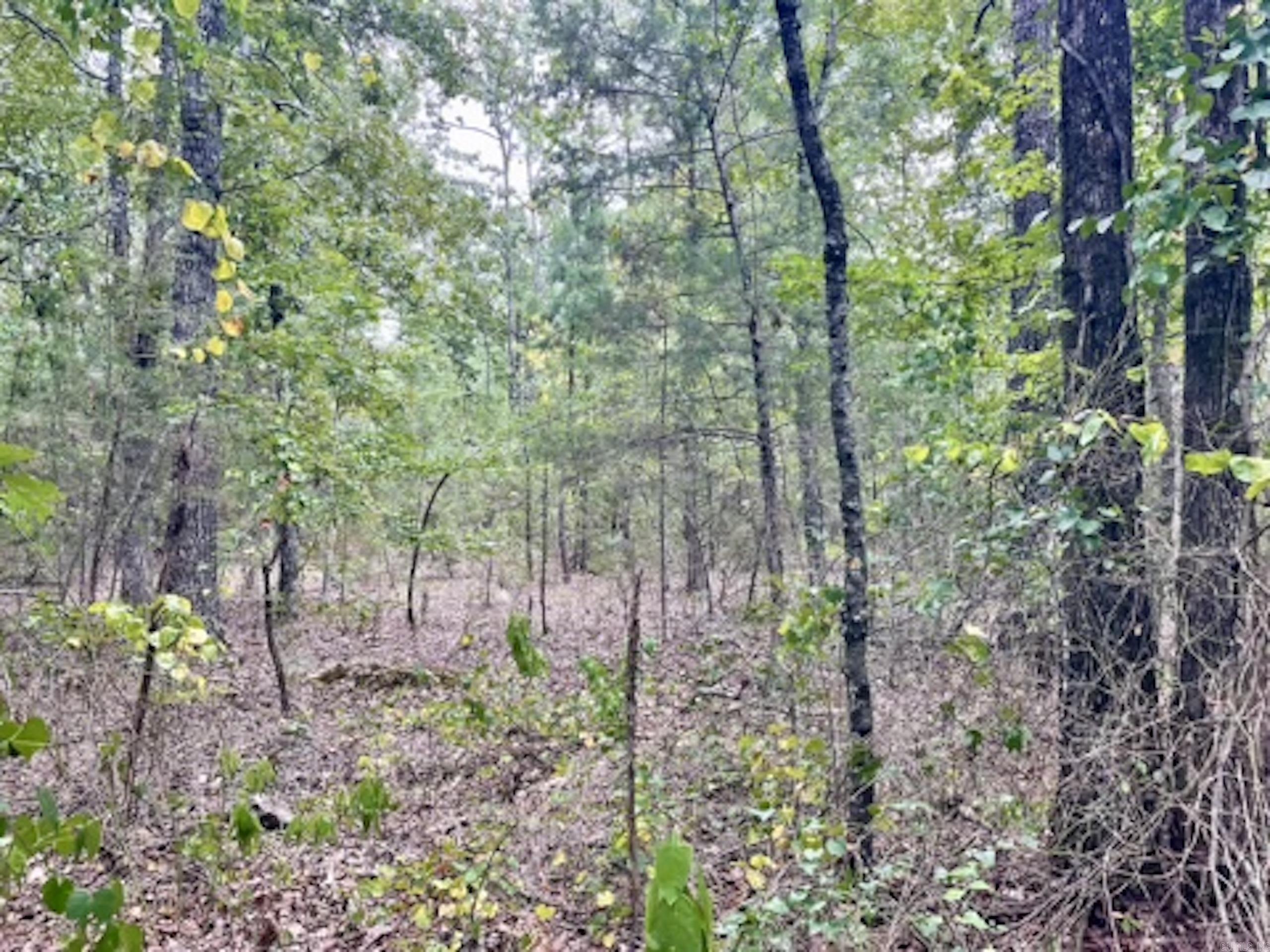 000 Barren's Loop Road,  Clinton, AR