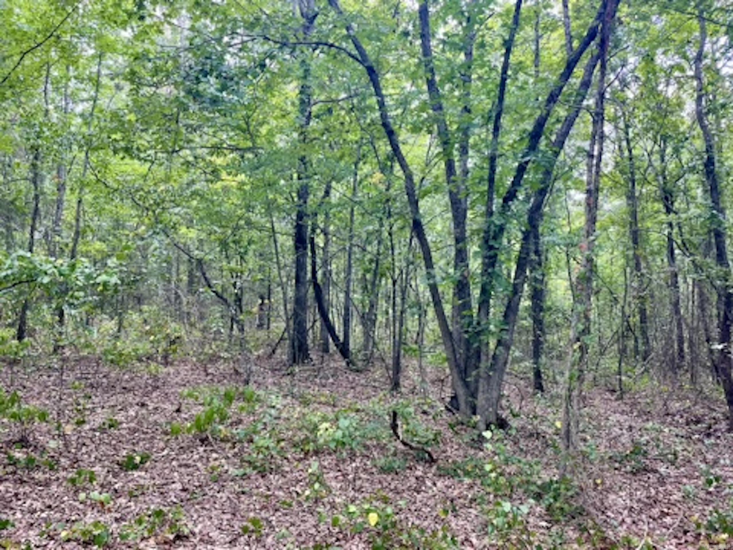 000 Barren's Loop Road,  Clinton, AR