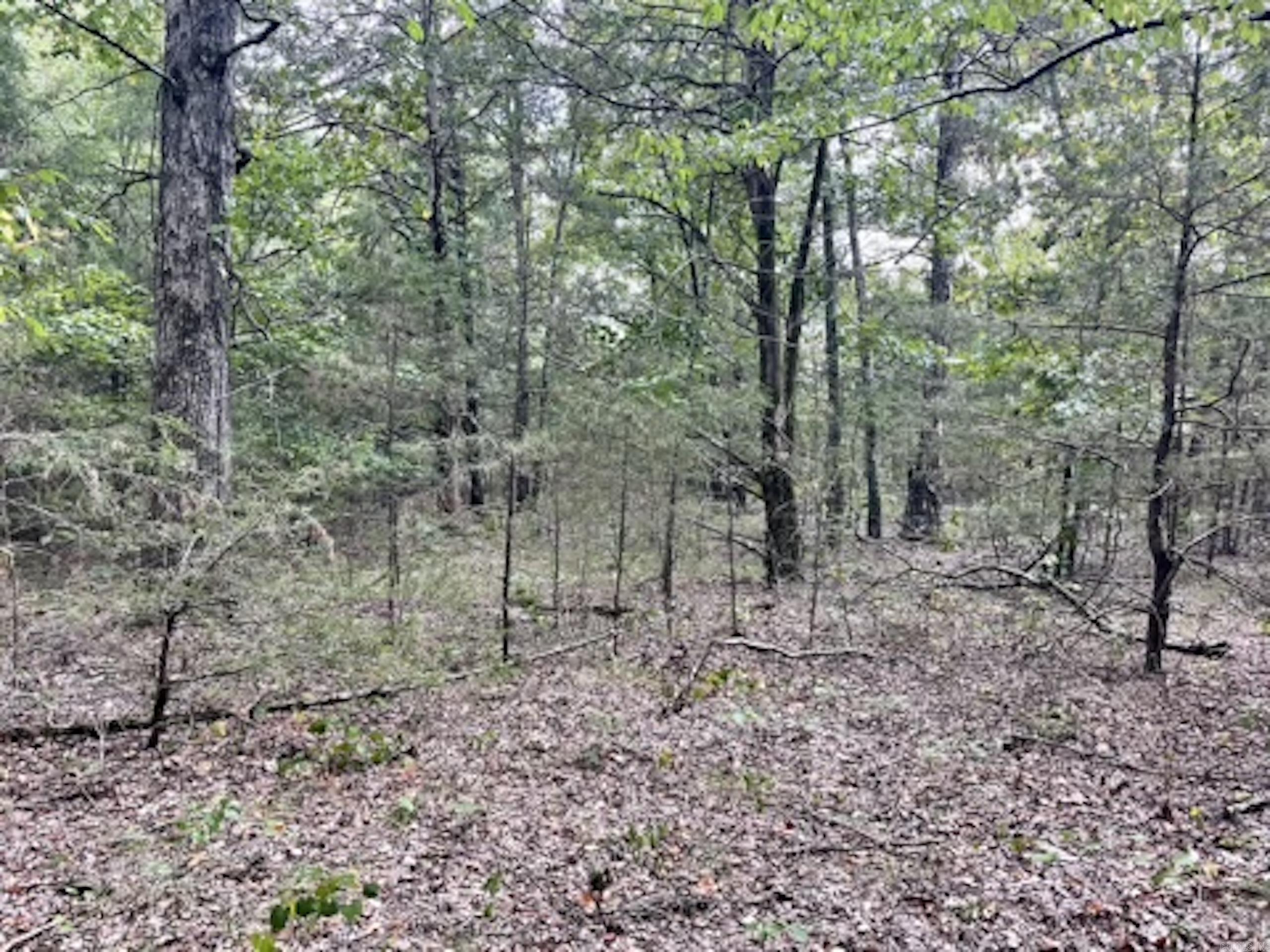 000 Barren's Loop Road,  Clinton, AR