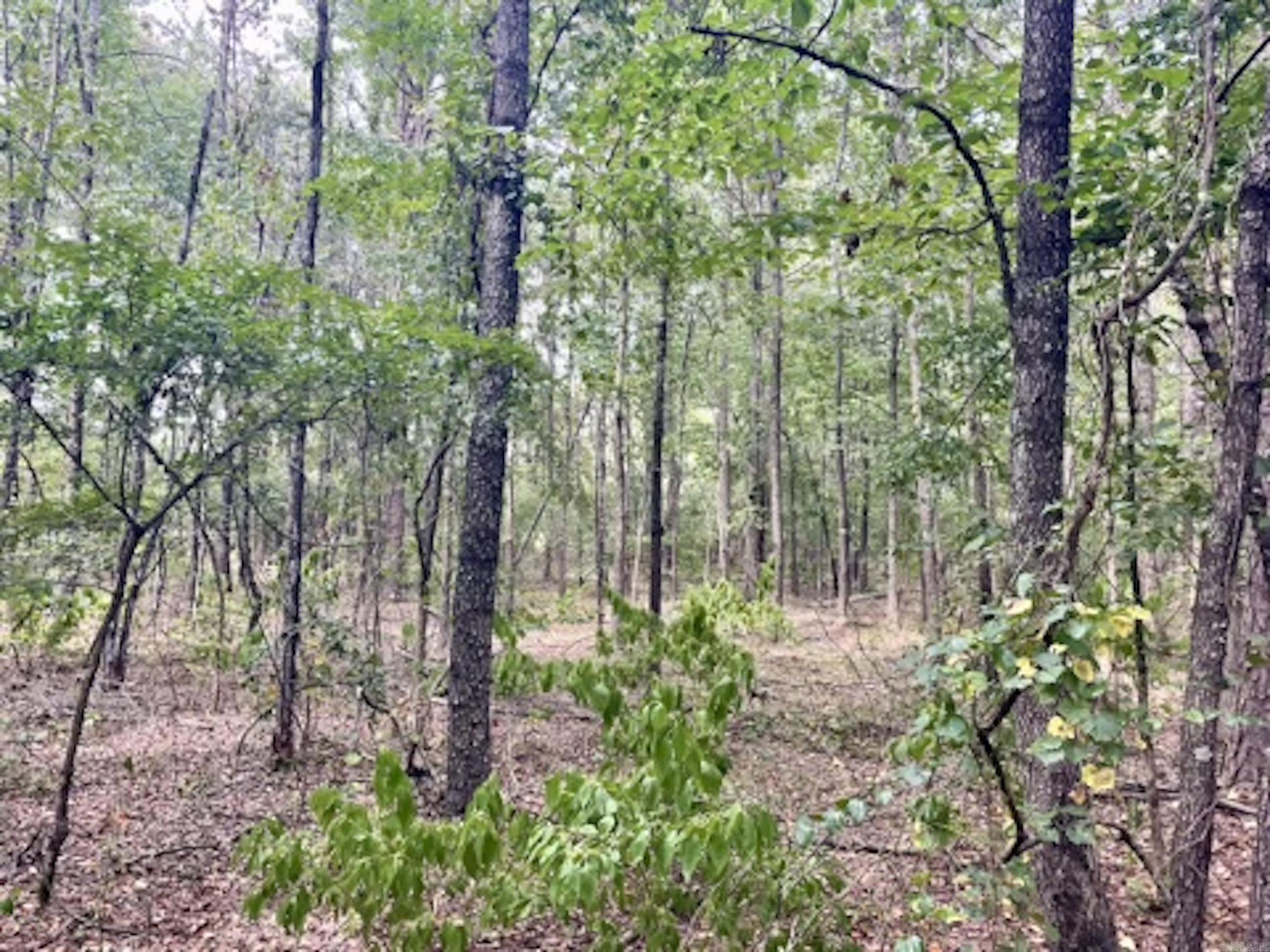 000 Barren's Loop Road,  Clinton, AR