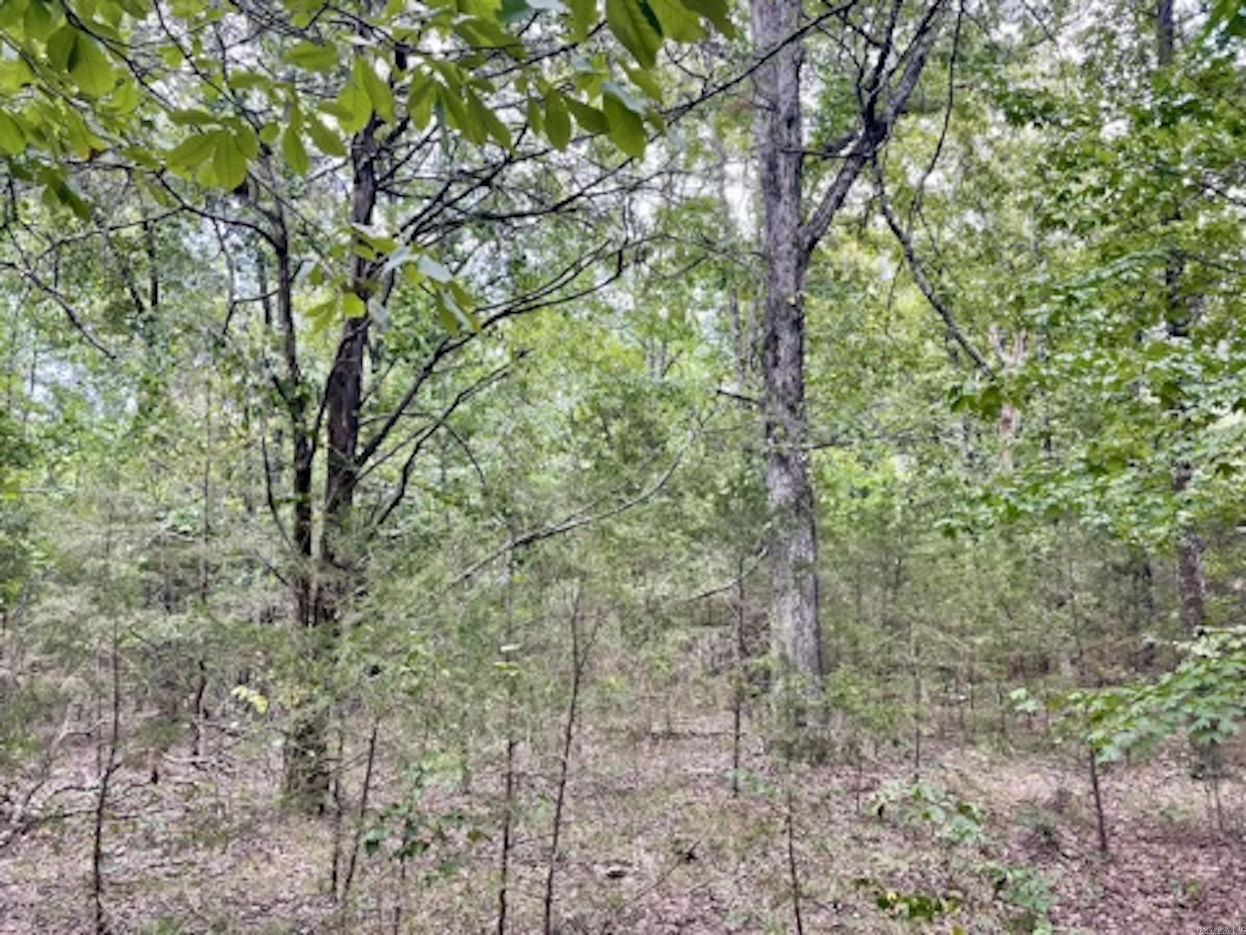 000 Barren's Loop Road,  Clinton, AR