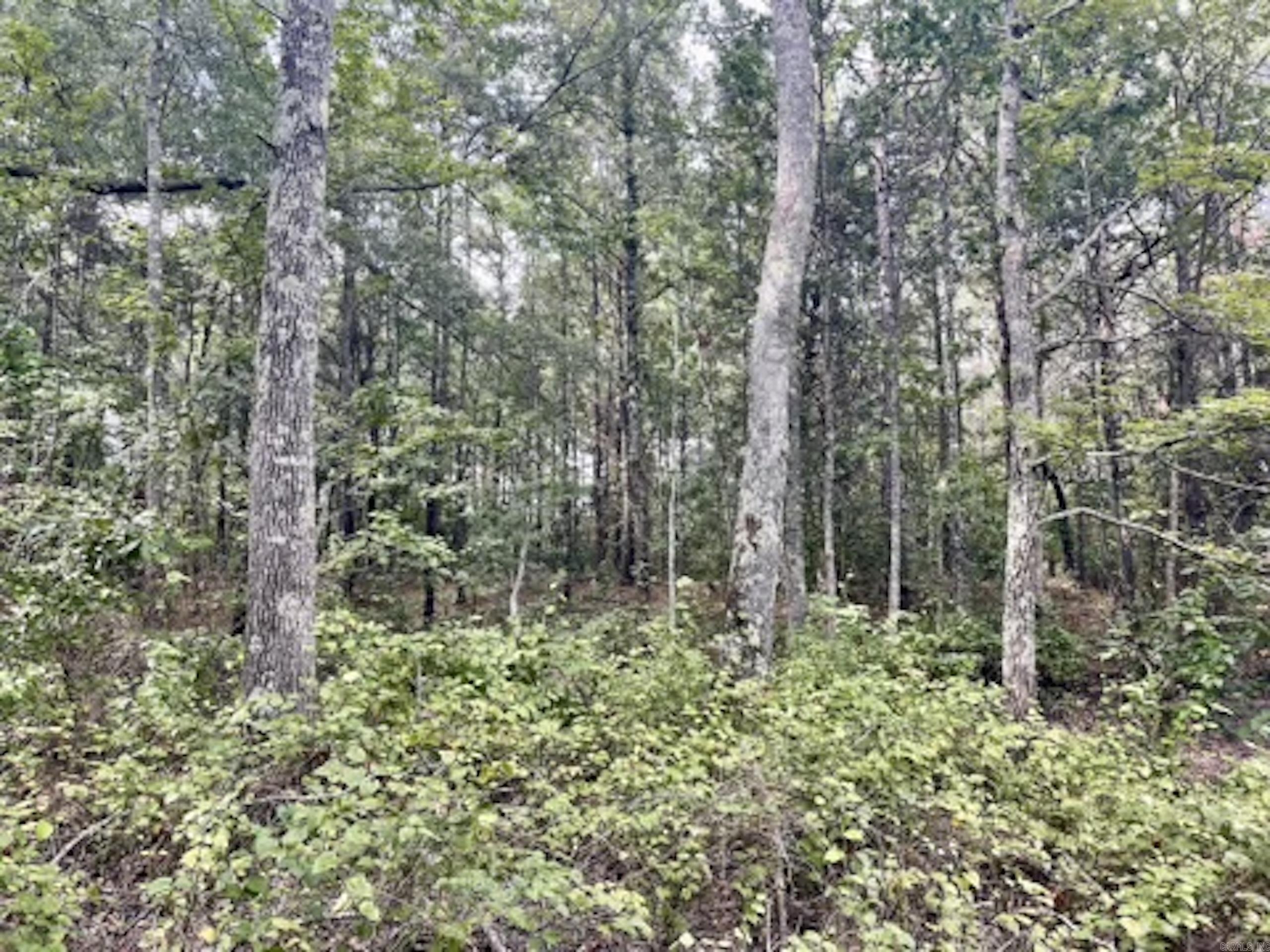 000 Barren's Loop Road,  Clinton, AR