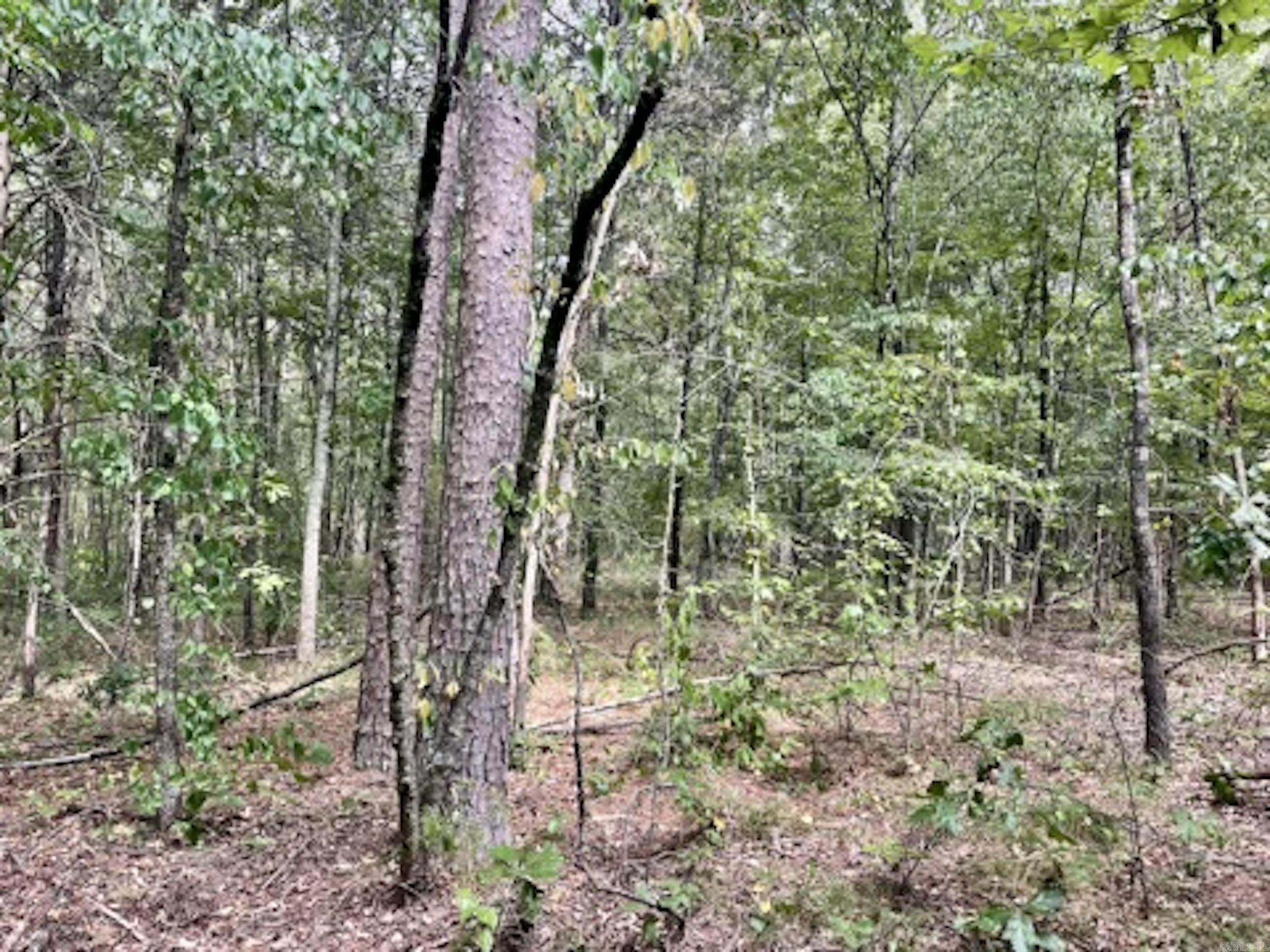 000 Barren's Loop Road,  Clinton, AR