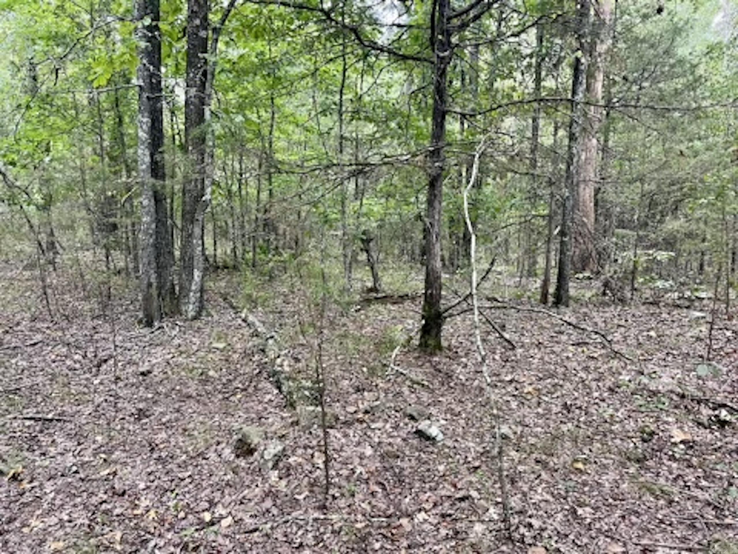 000 Barren's Loop Road,  Clinton, AR