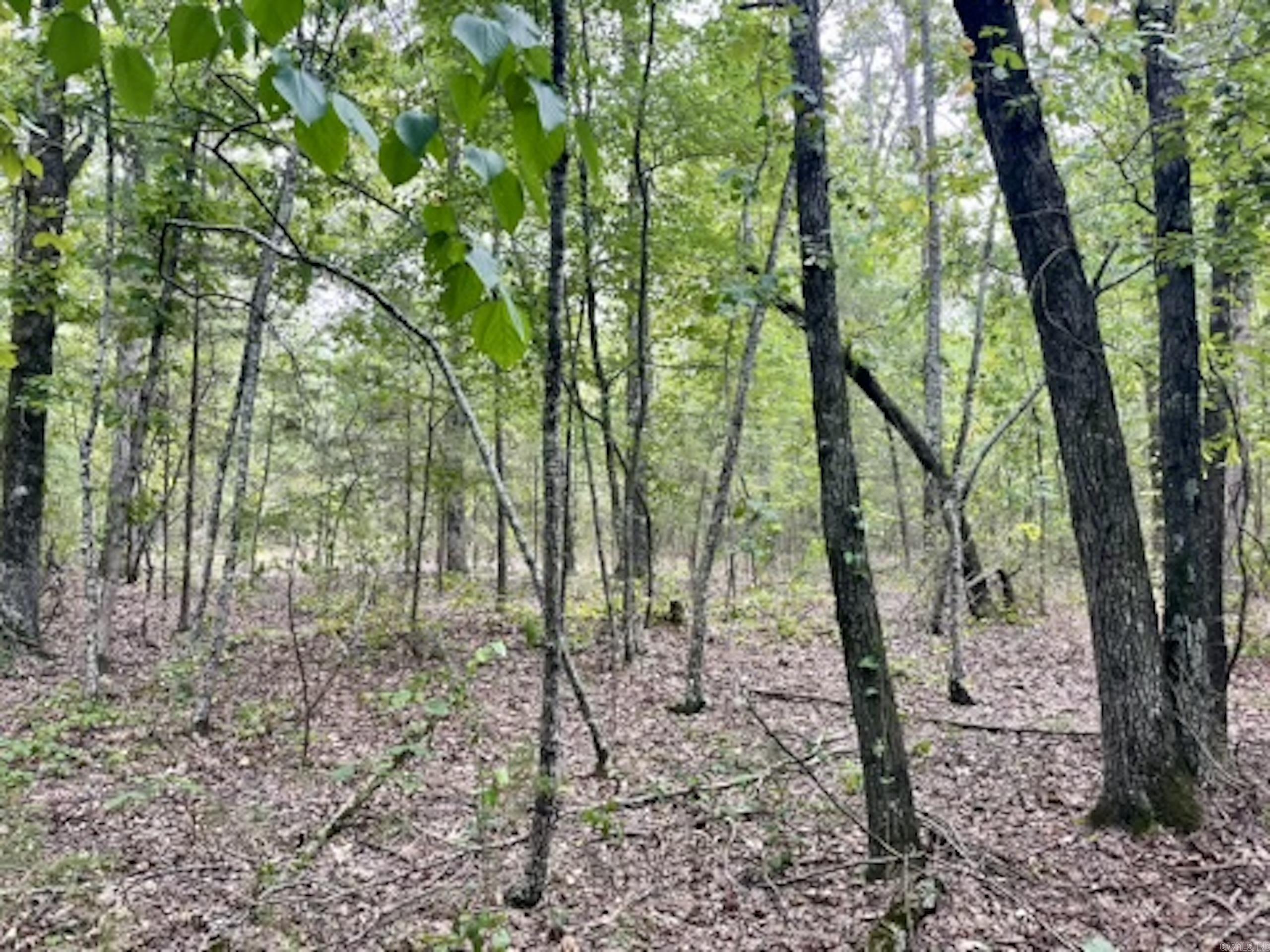000 Barren's Loop Road,  Clinton, AR
