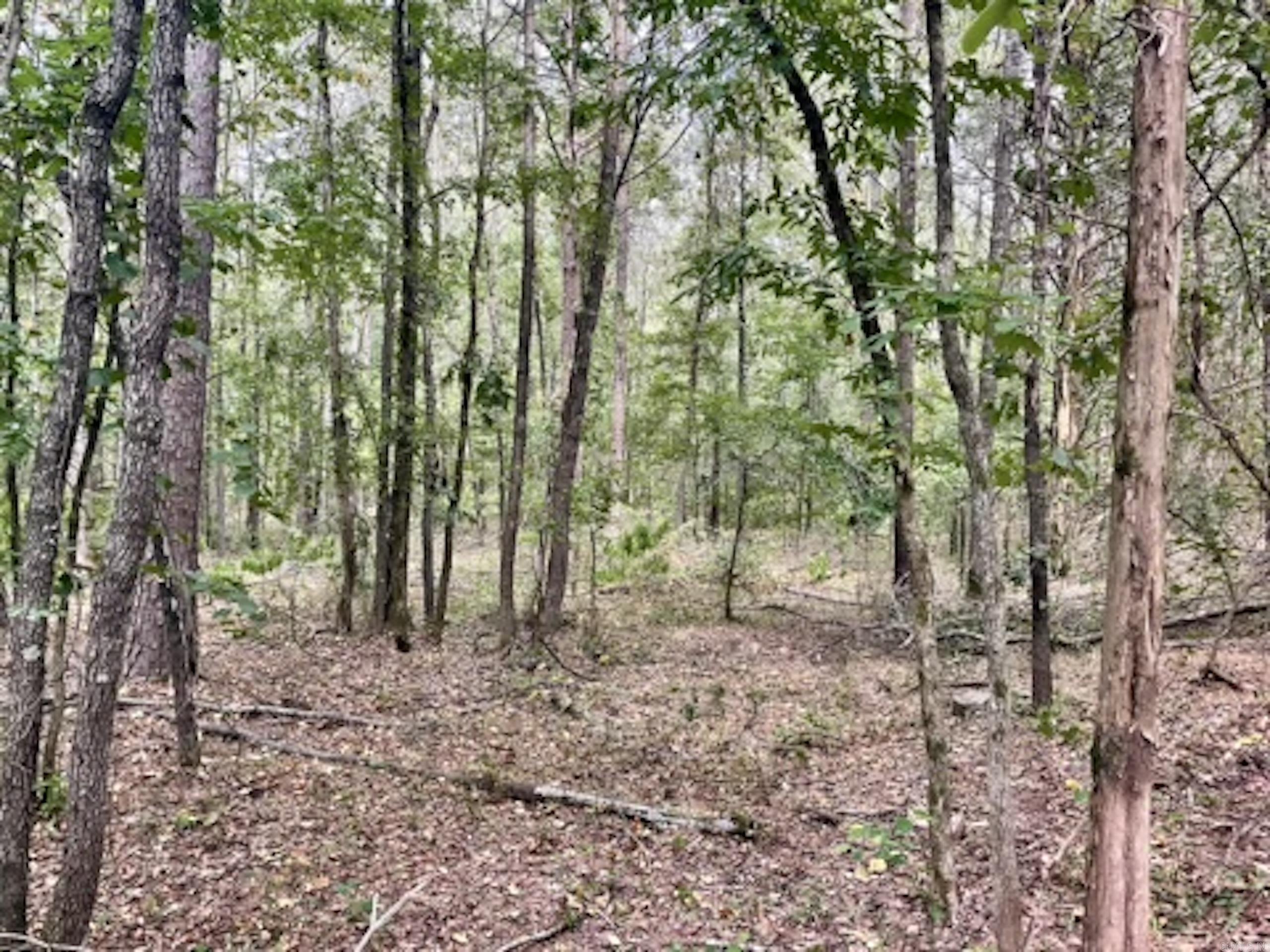 000 Barren's Loop Road,  Clinton, AR