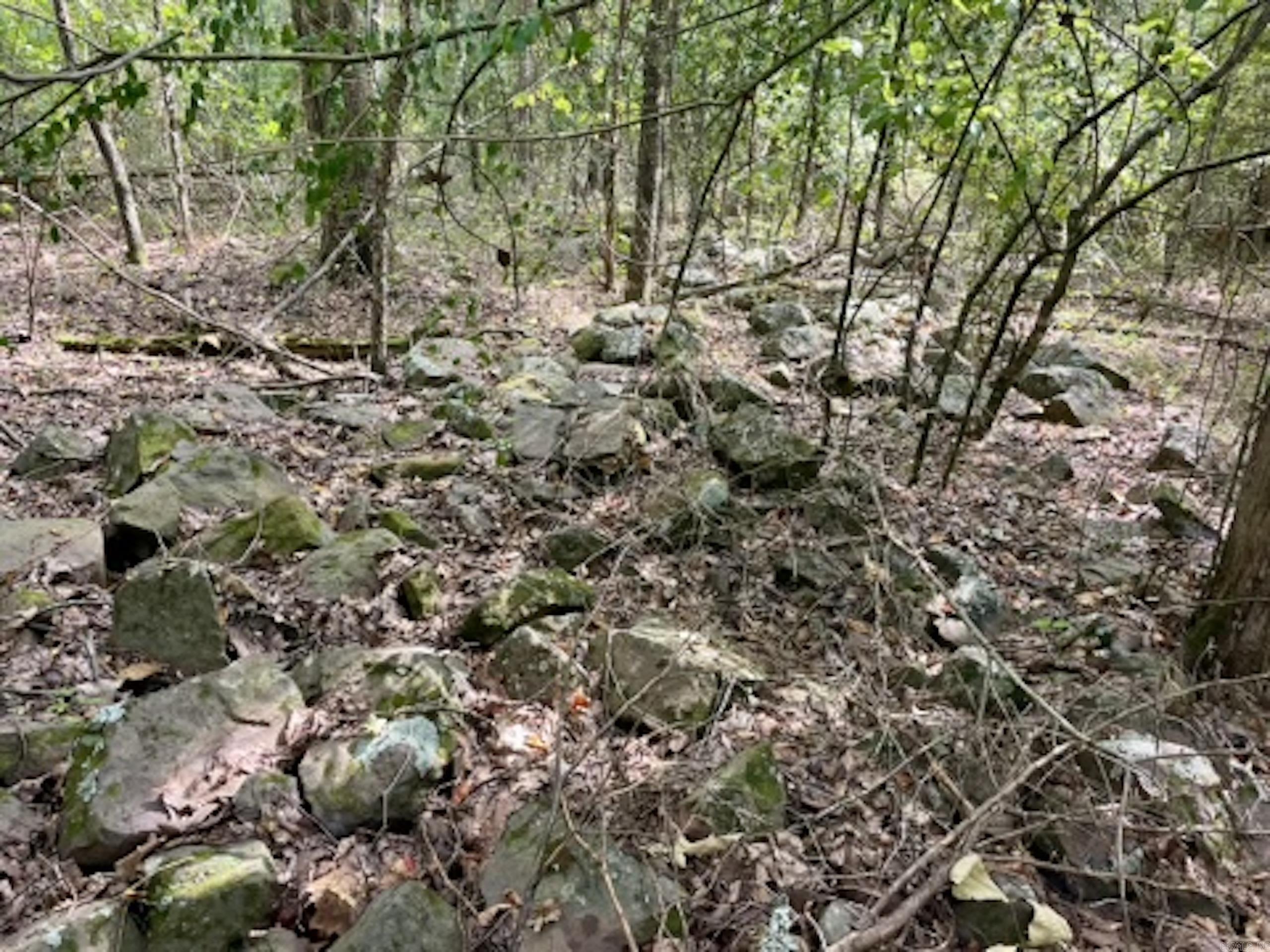 000 Barren's Loop Road,  Clinton, AR