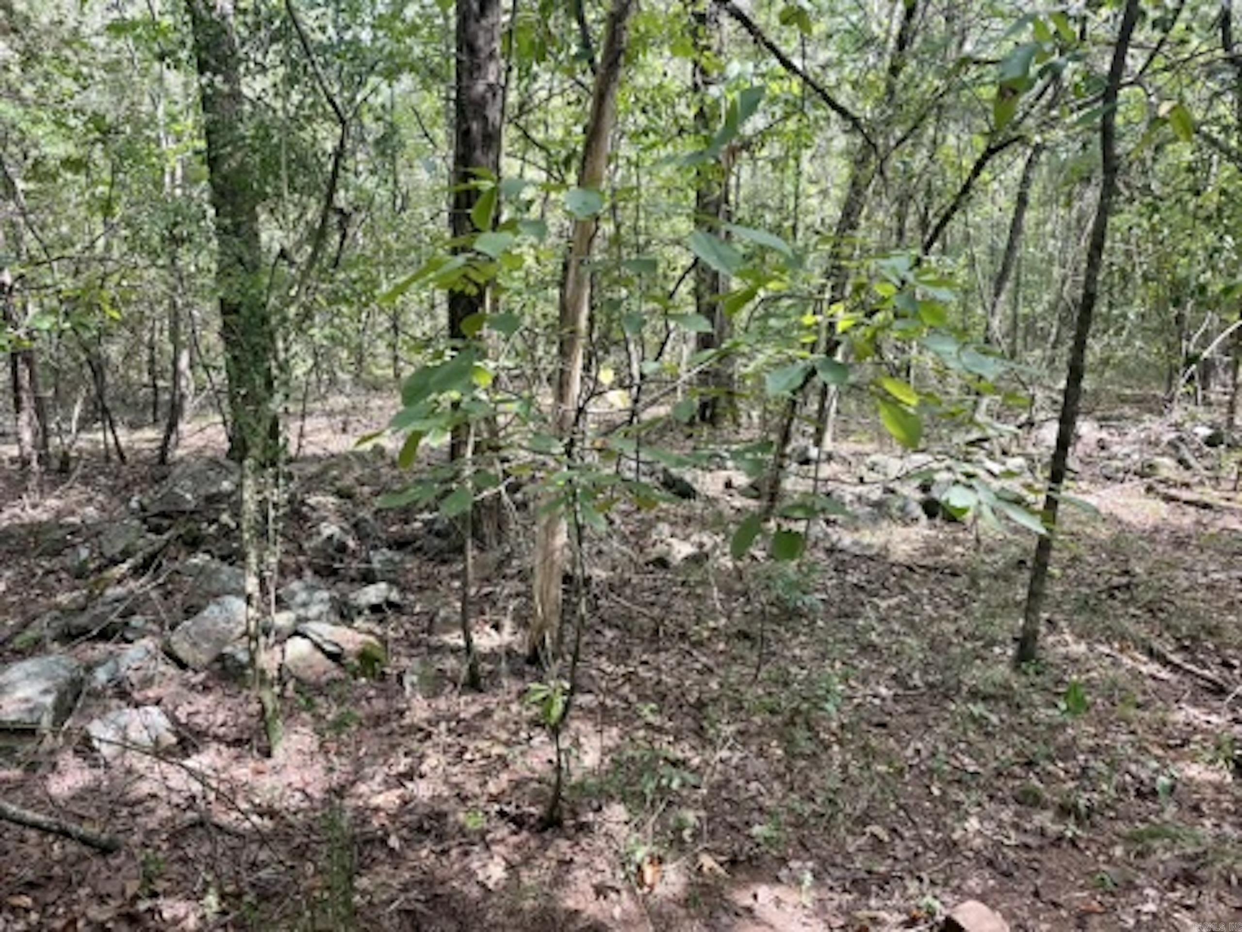 000 Barren's Loop Road,  Clinton, AR