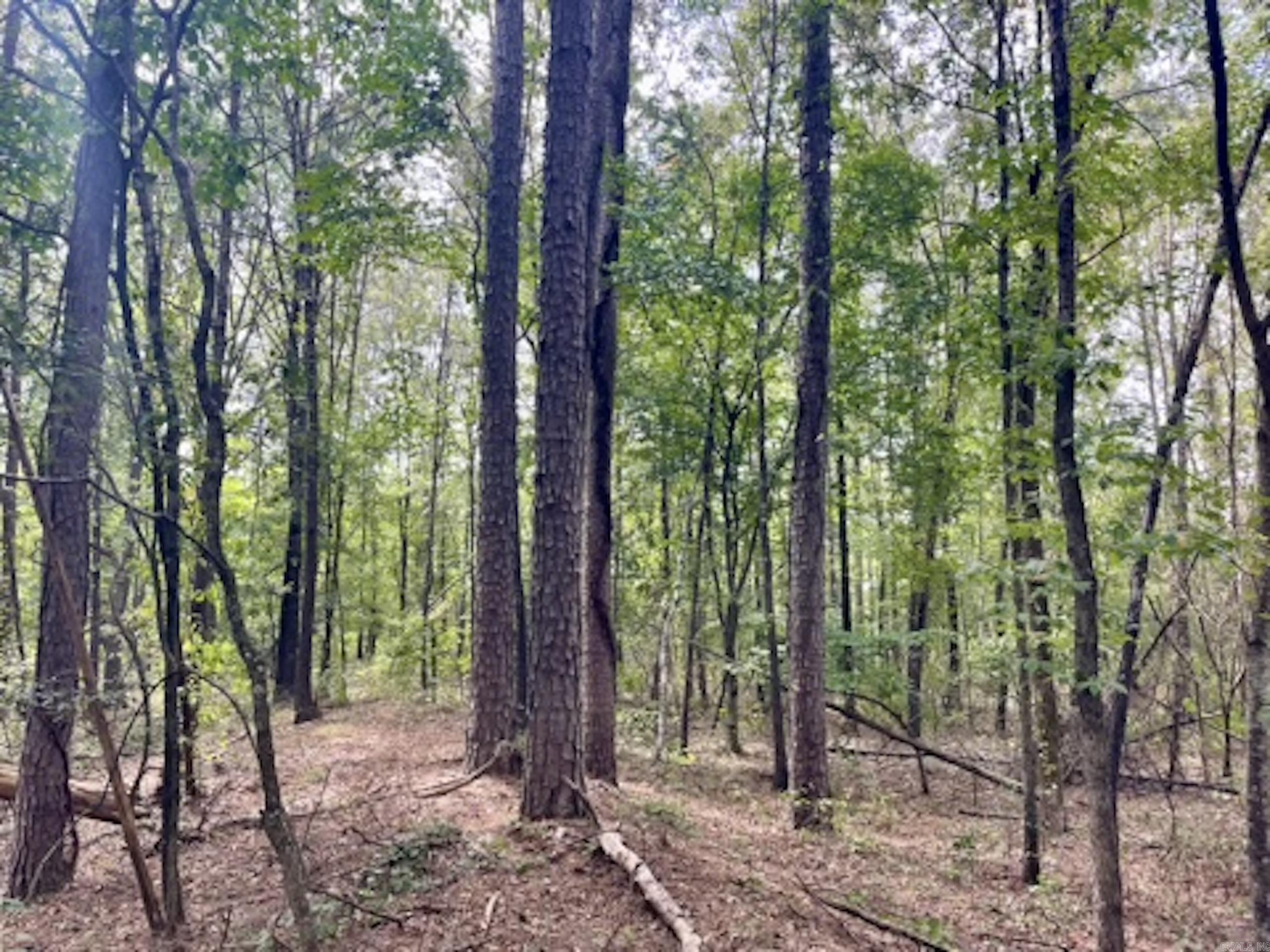 000 Barren's Loop Road,  Clinton, AR