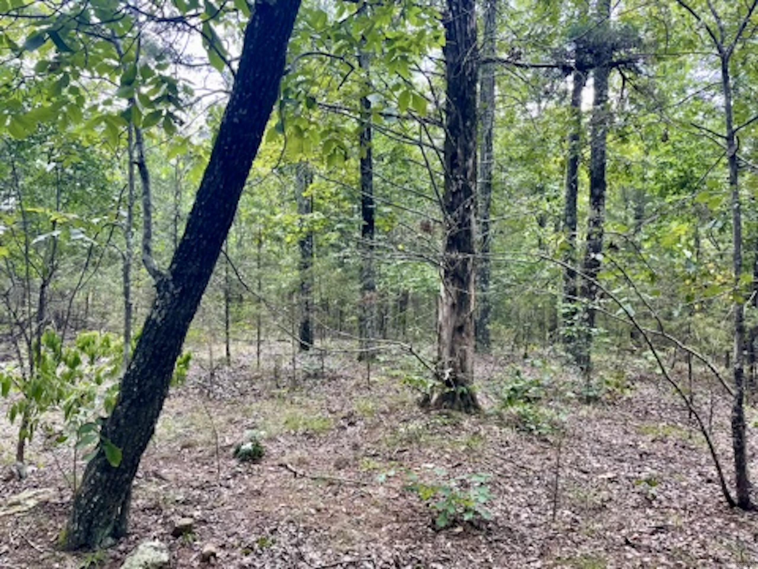 000 Barren's Loop Road,  Clinton, AR