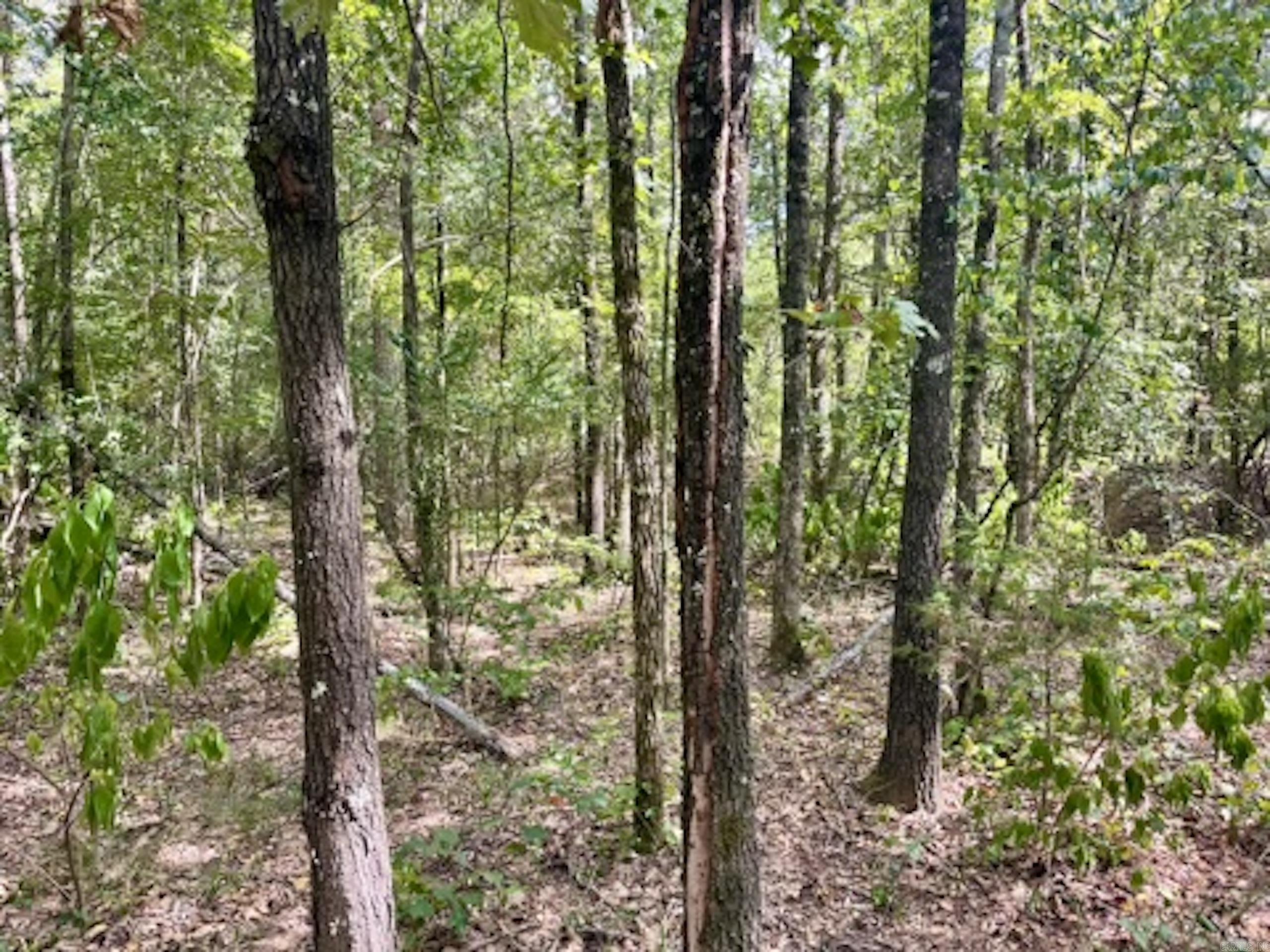 000 Barren's Loop Road,  Clinton, AR