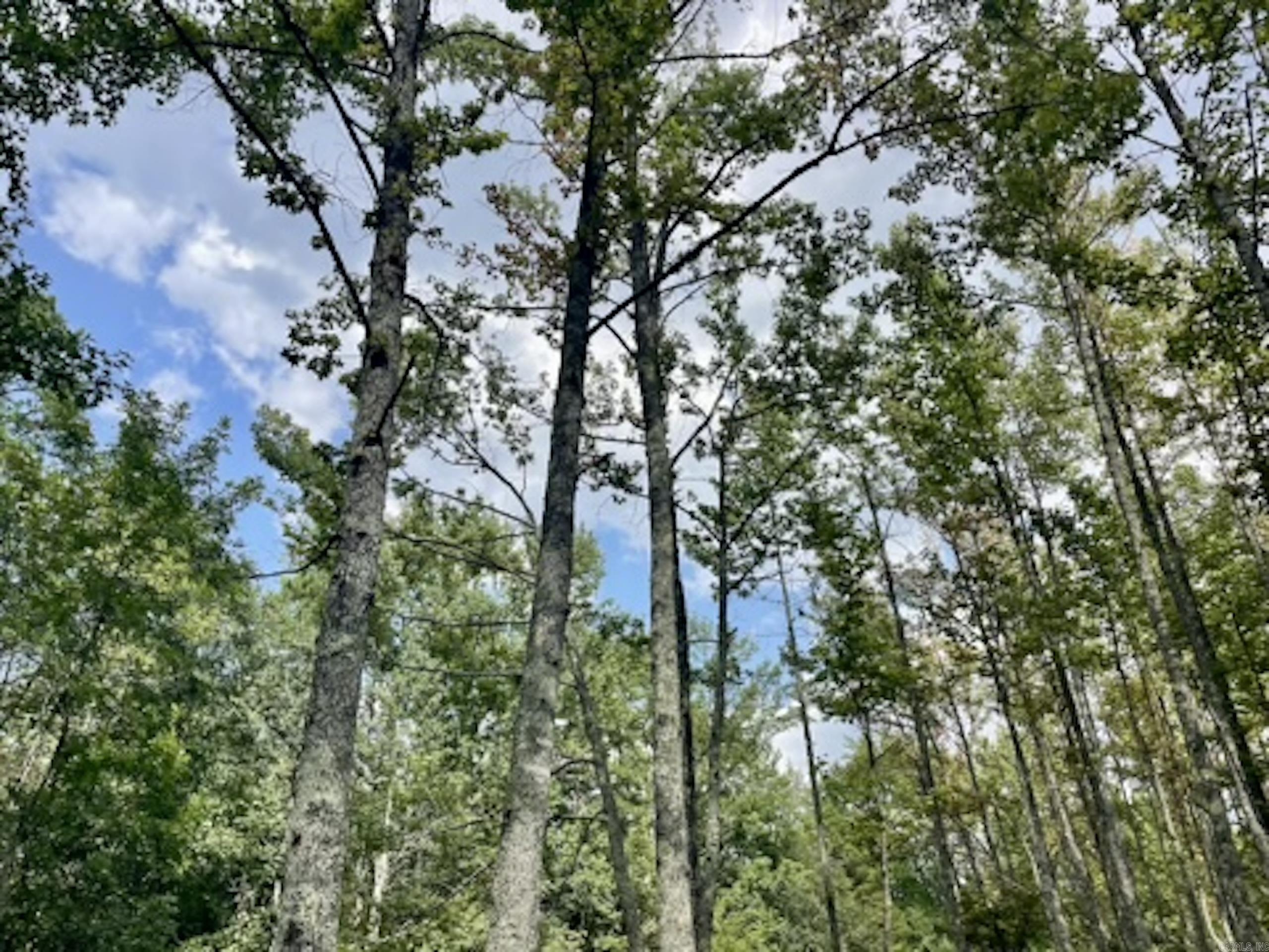 000 Barren's Loop Road,  Clinton, AR