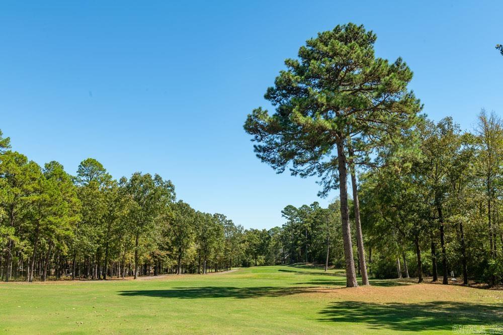 58 Ronquillo  Hot Springs Village, AR