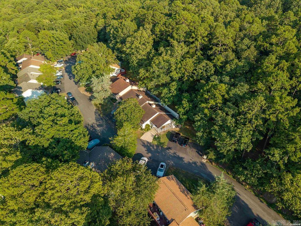 43 Perralena Way Hot Springs Village, AR 71909