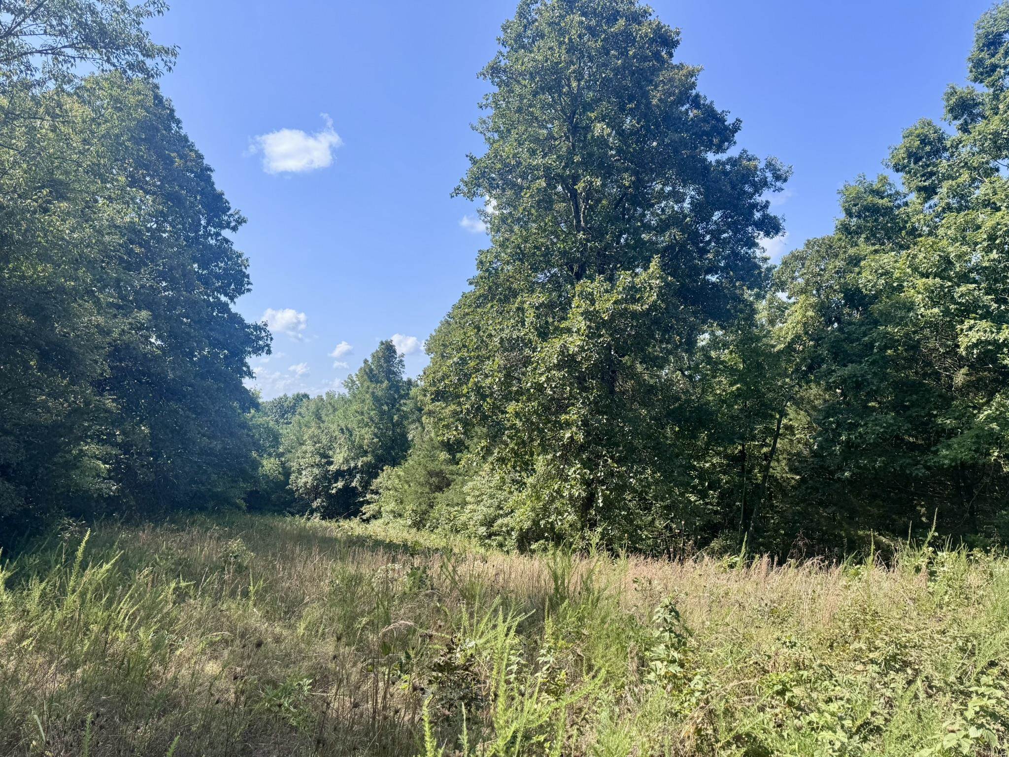 1315 CR 67  Mammoth Spring, AR