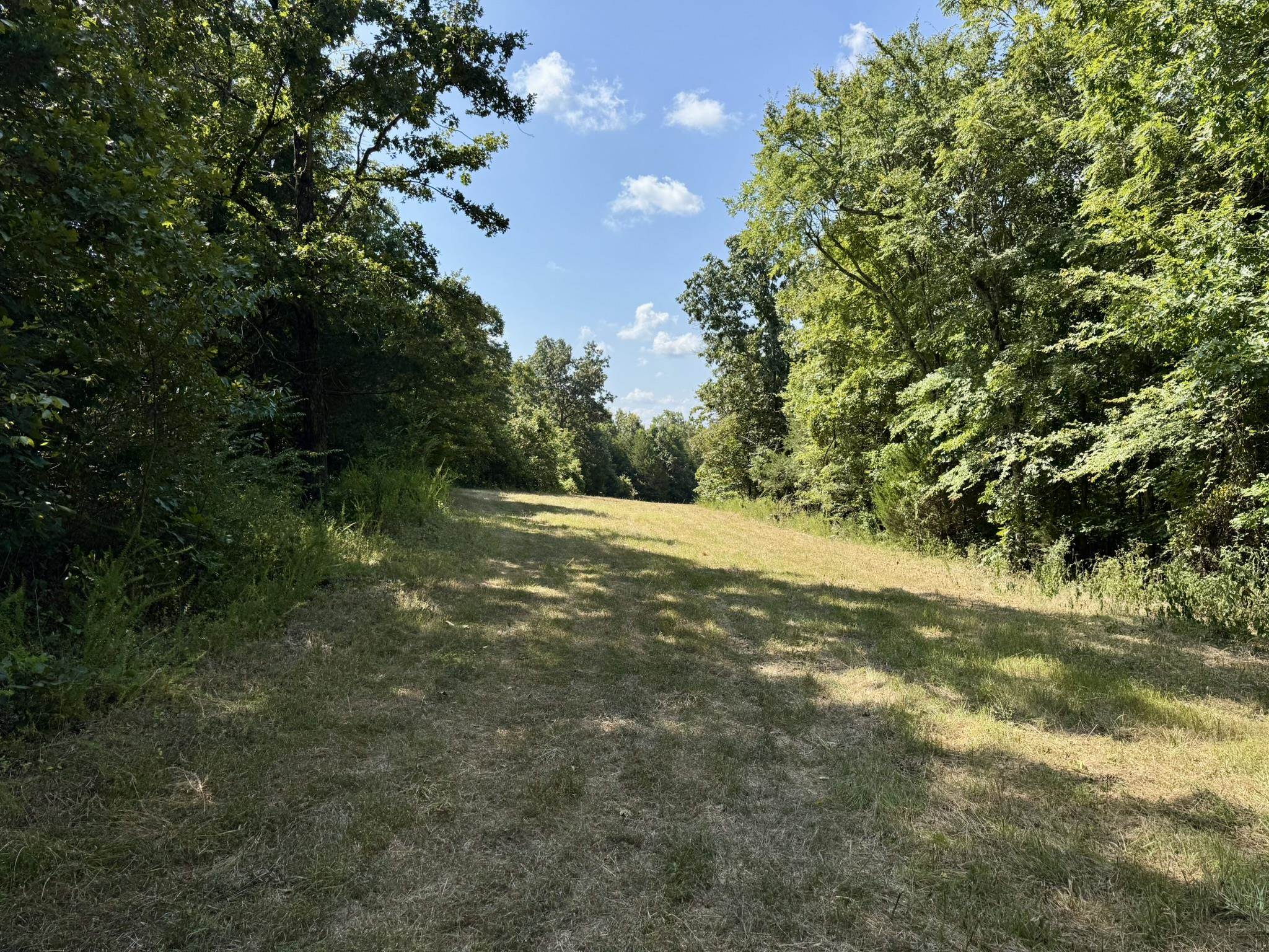 1315 CR 67  Mammoth Spring, AR