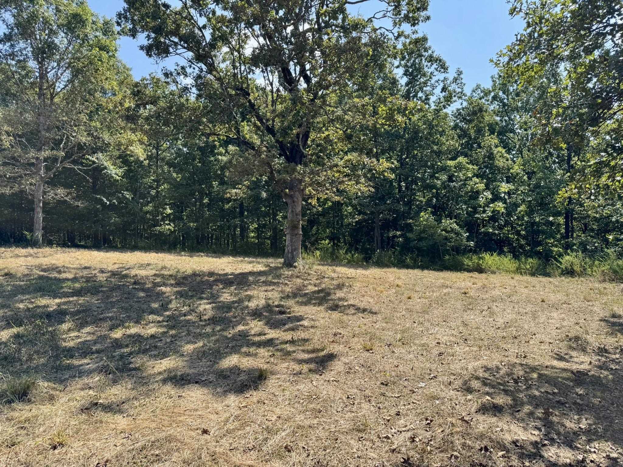 1315 CR 67  Mammoth Spring, AR