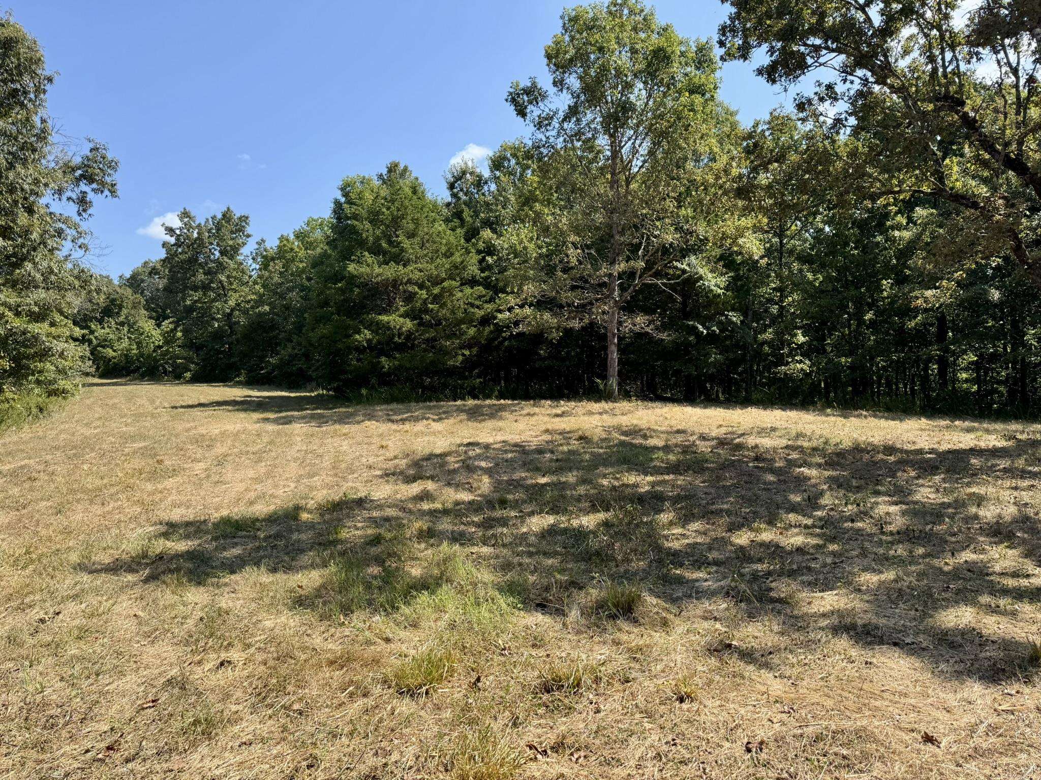 1315 CR 67  Mammoth Spring, AR