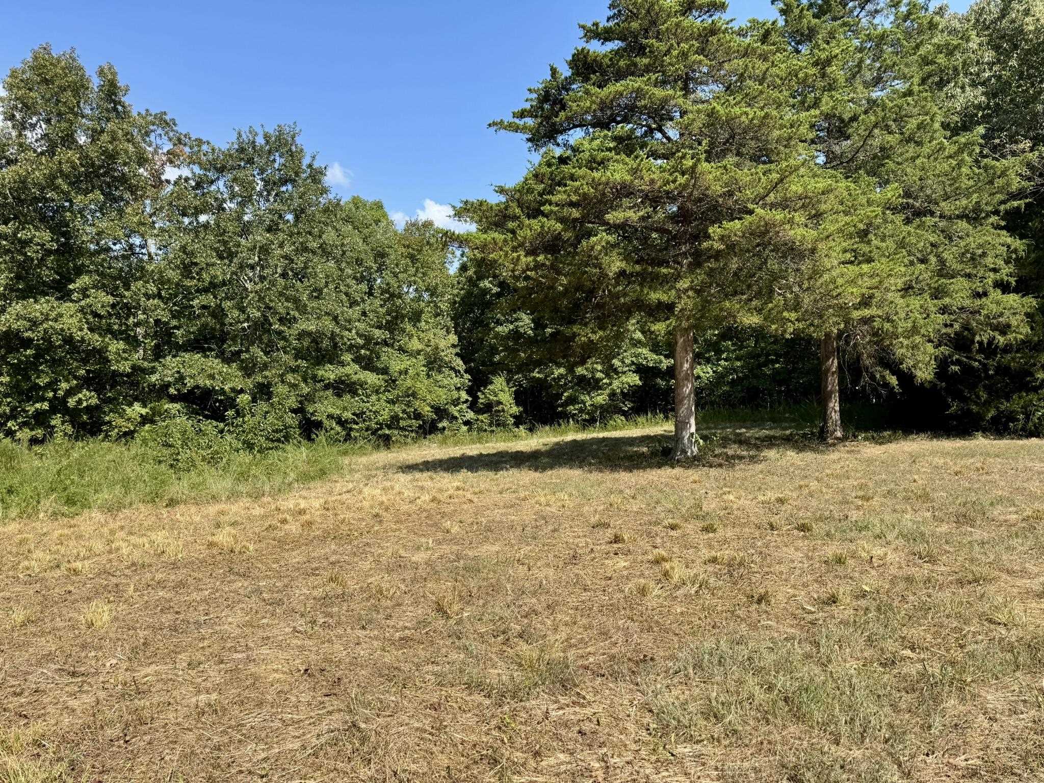 1315 CR 67  Mammoth Spring, AR