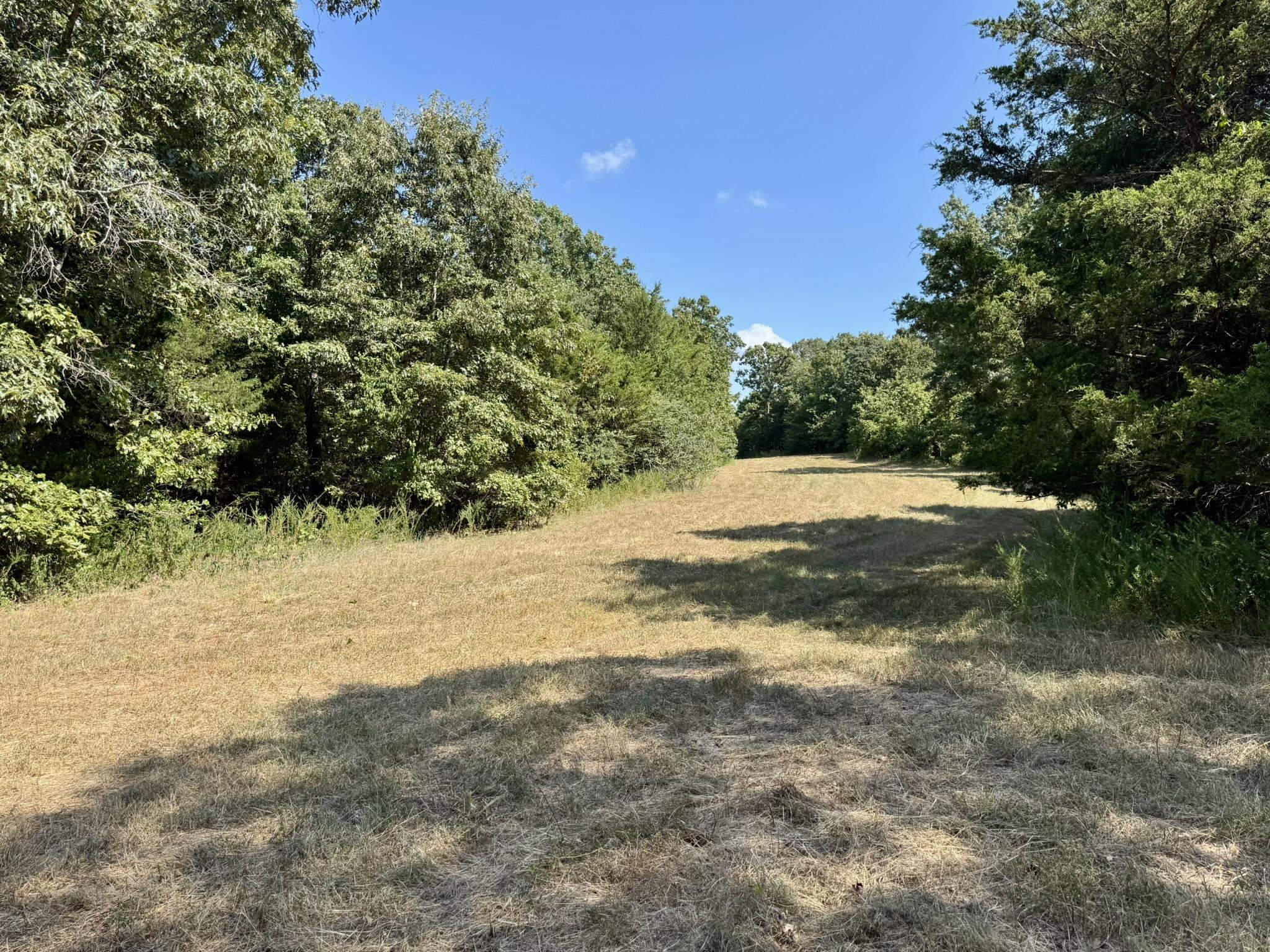 1315 CR 67  Mammoth Spring, AR