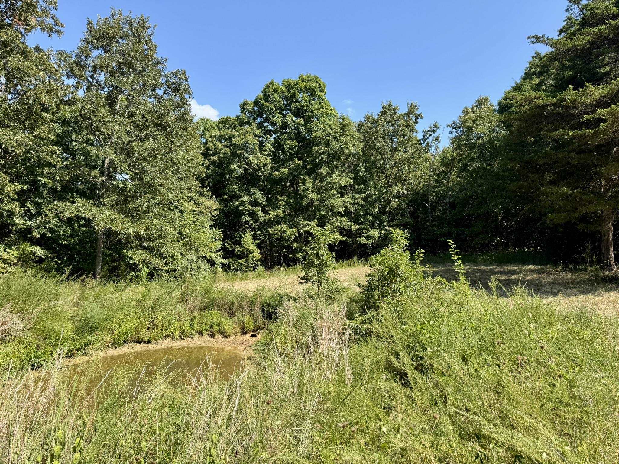 1315 CR 67  Mammoth Spring, AR