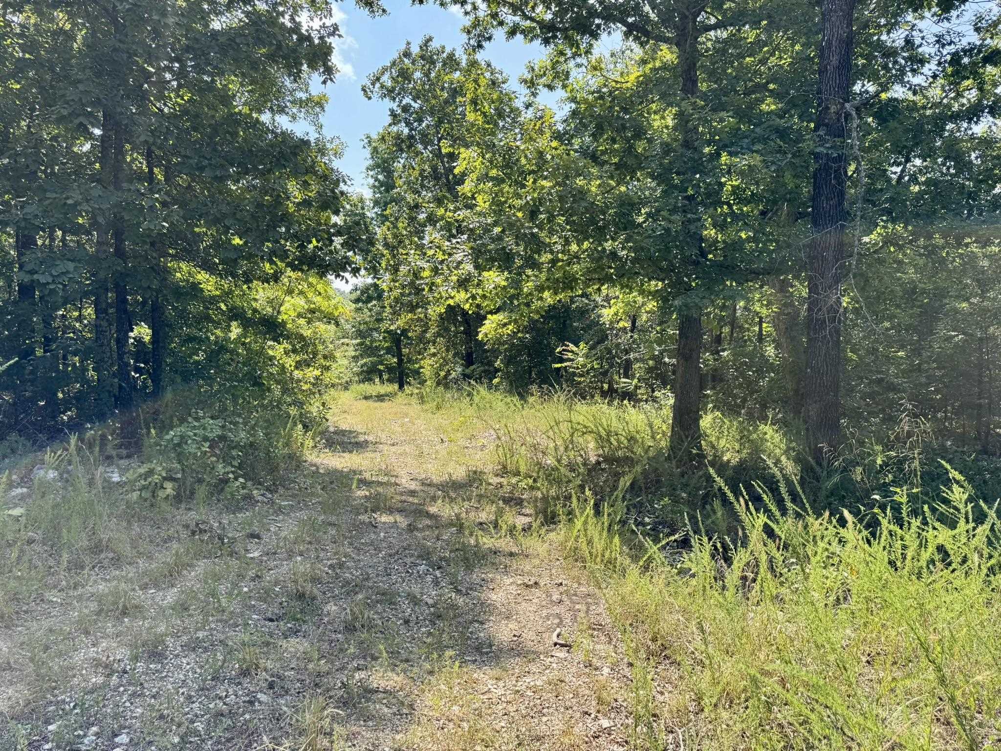 1315 CR 67  Mammoth Spring, AR