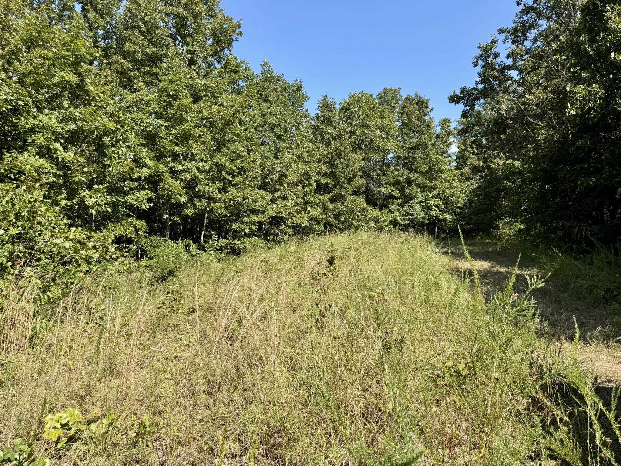 1315 CR 67  Mammoth Spring, AR