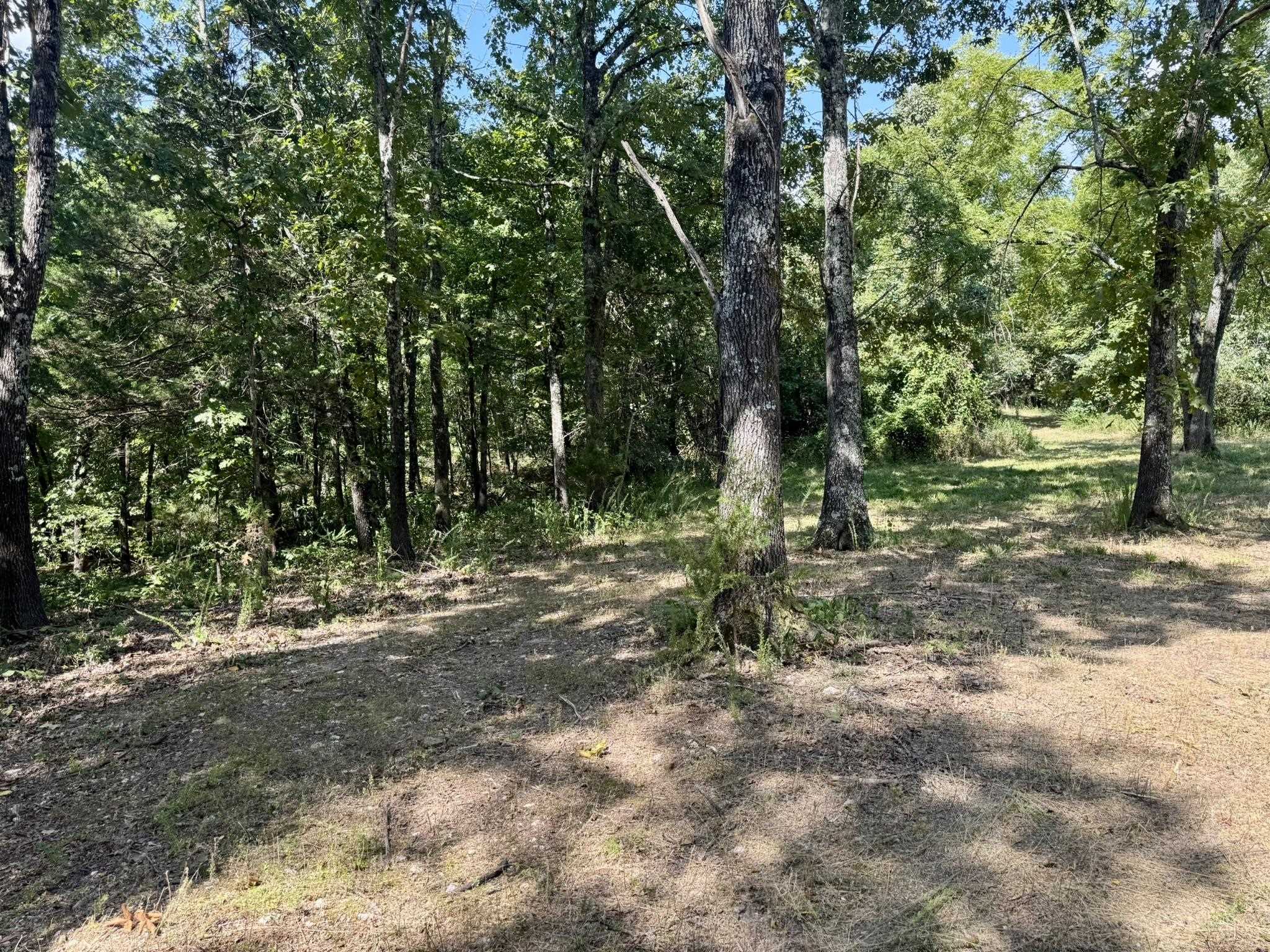 1315 CR 67  Mammoth Spring, AR