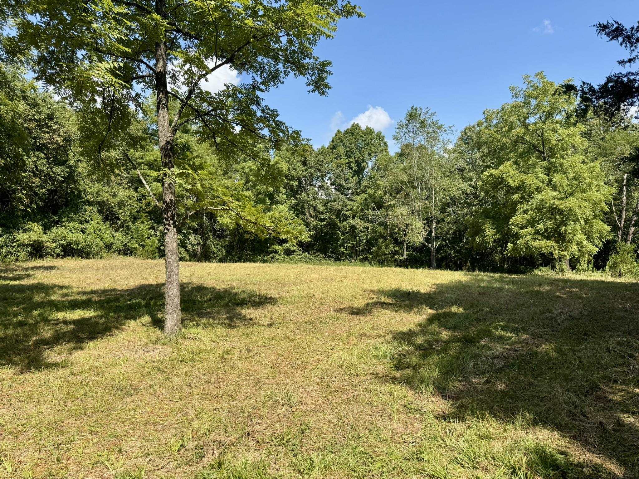 1315 CR 67  Mammoth Spring, AR