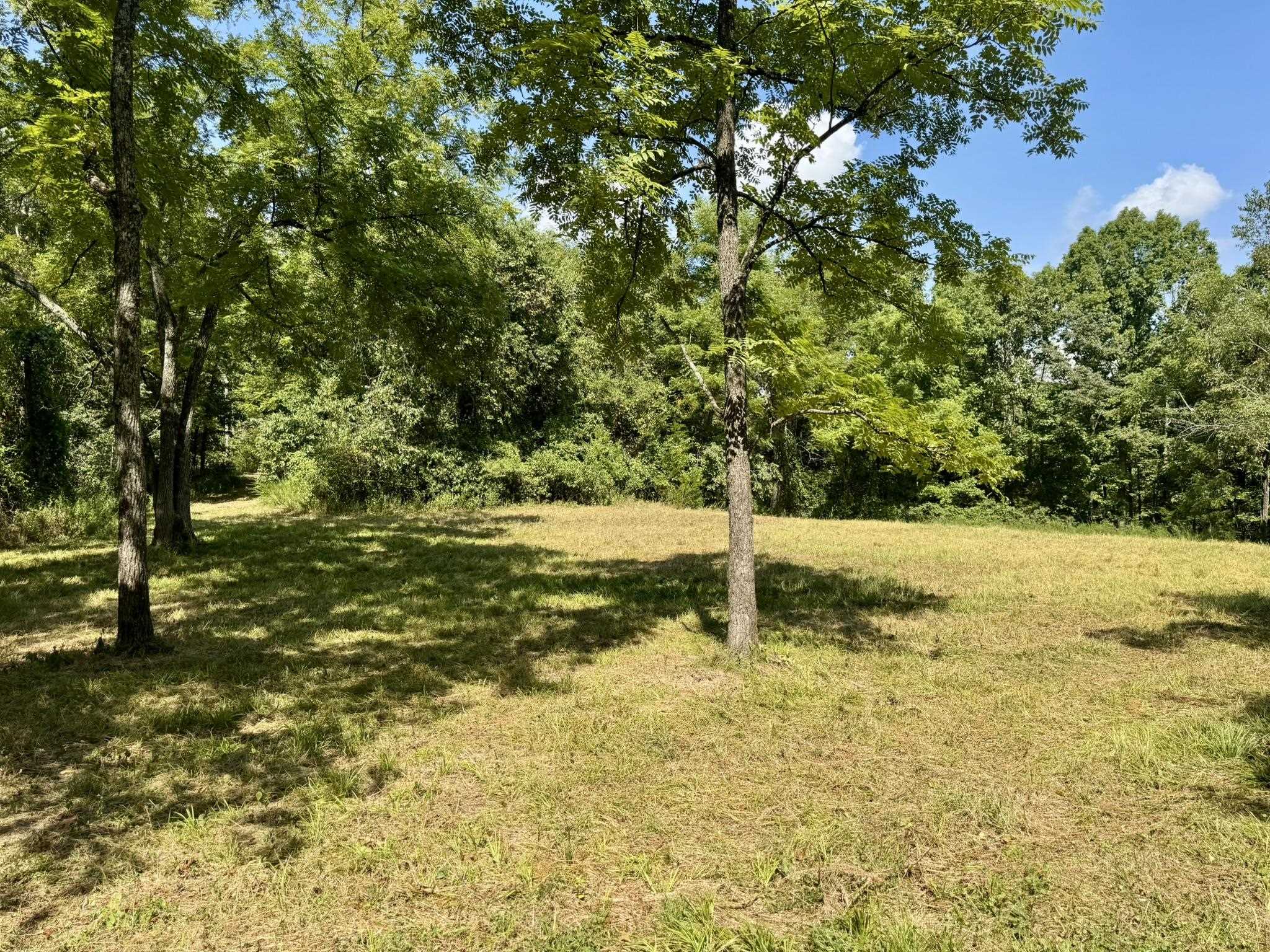 1315 CR 67  Mammoth Spring, AR