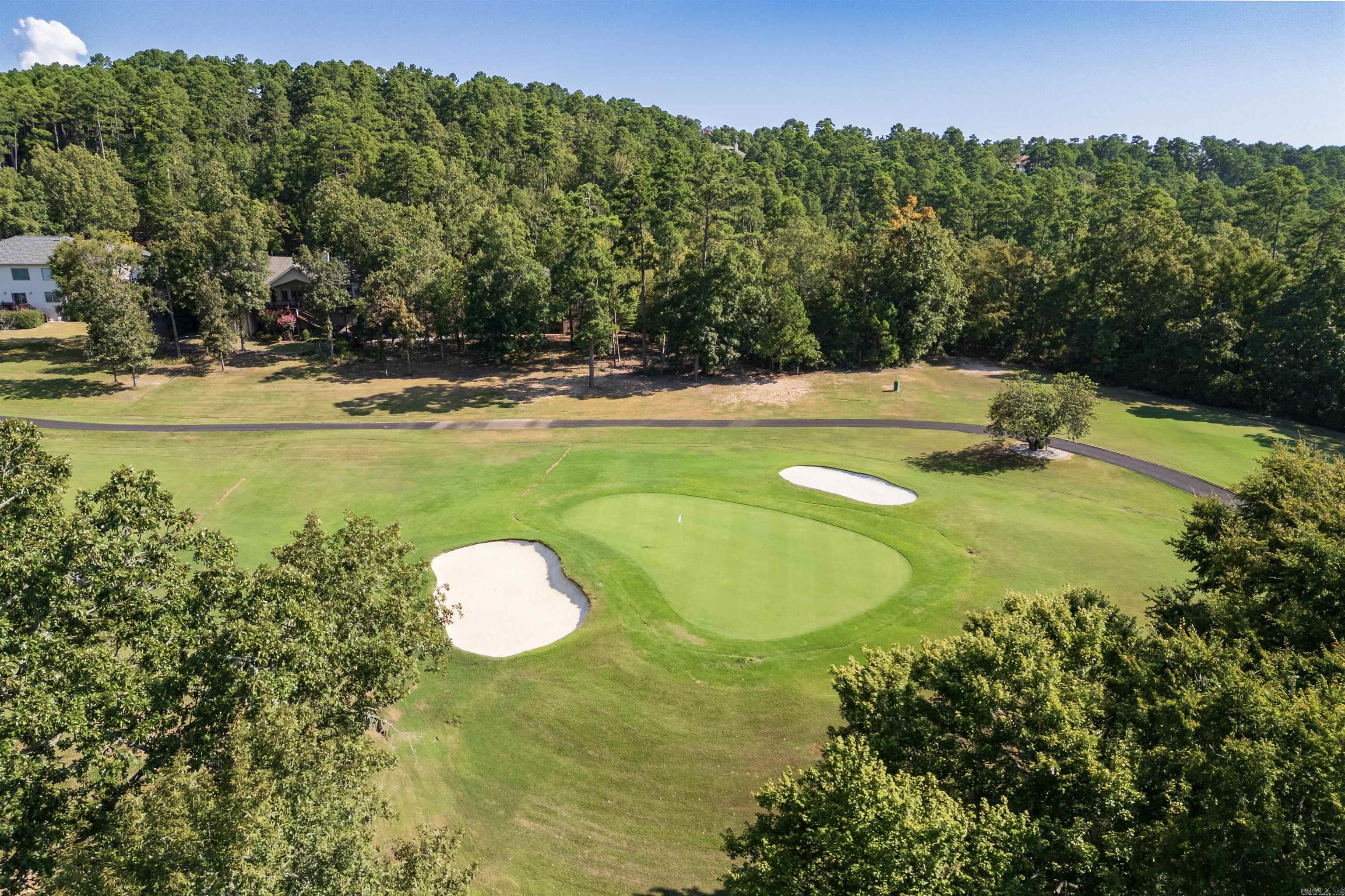 52 Faisan Way  Hot Springs Village, AR