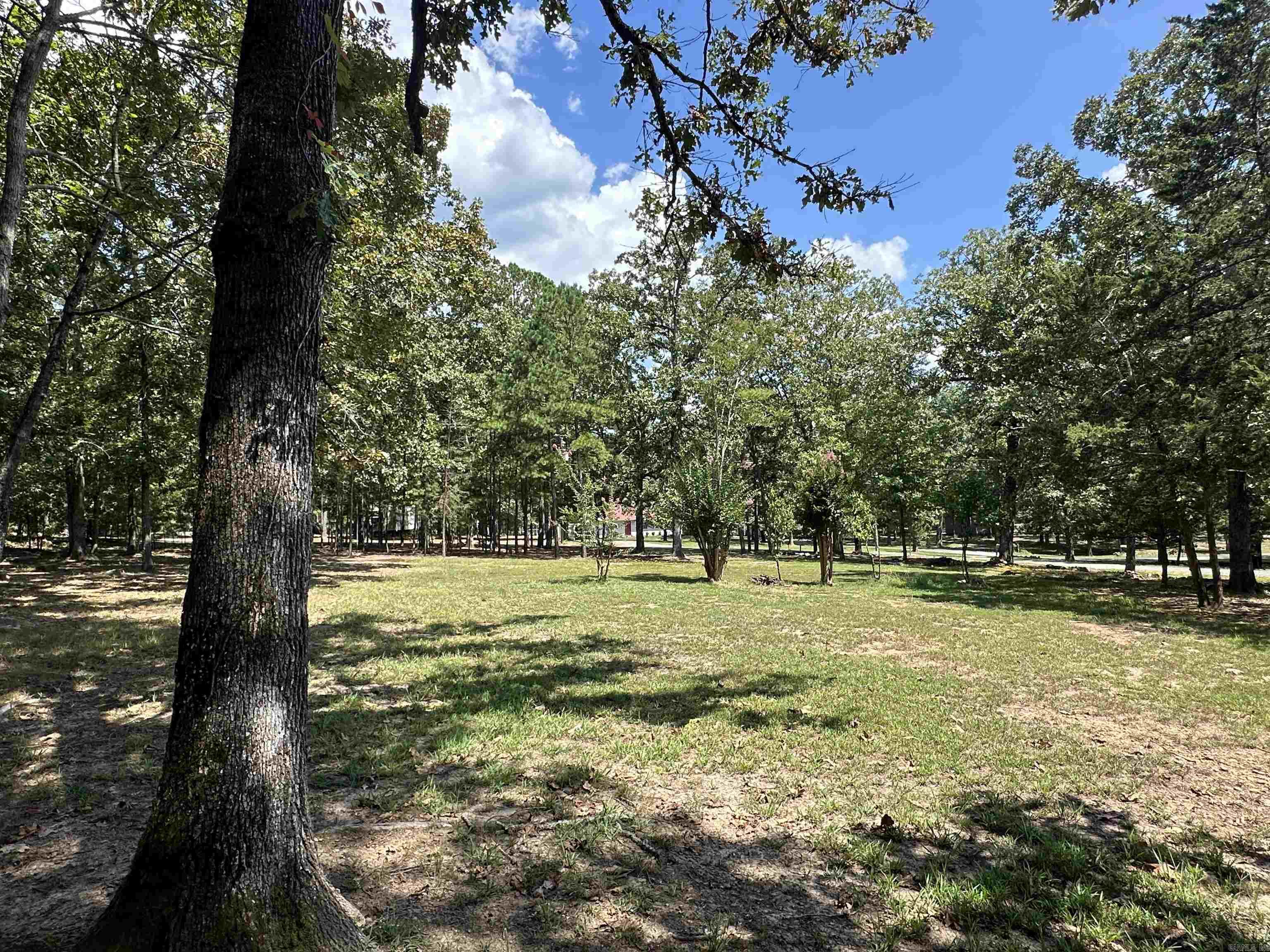 781 Douglas Lane  Clinton, AR